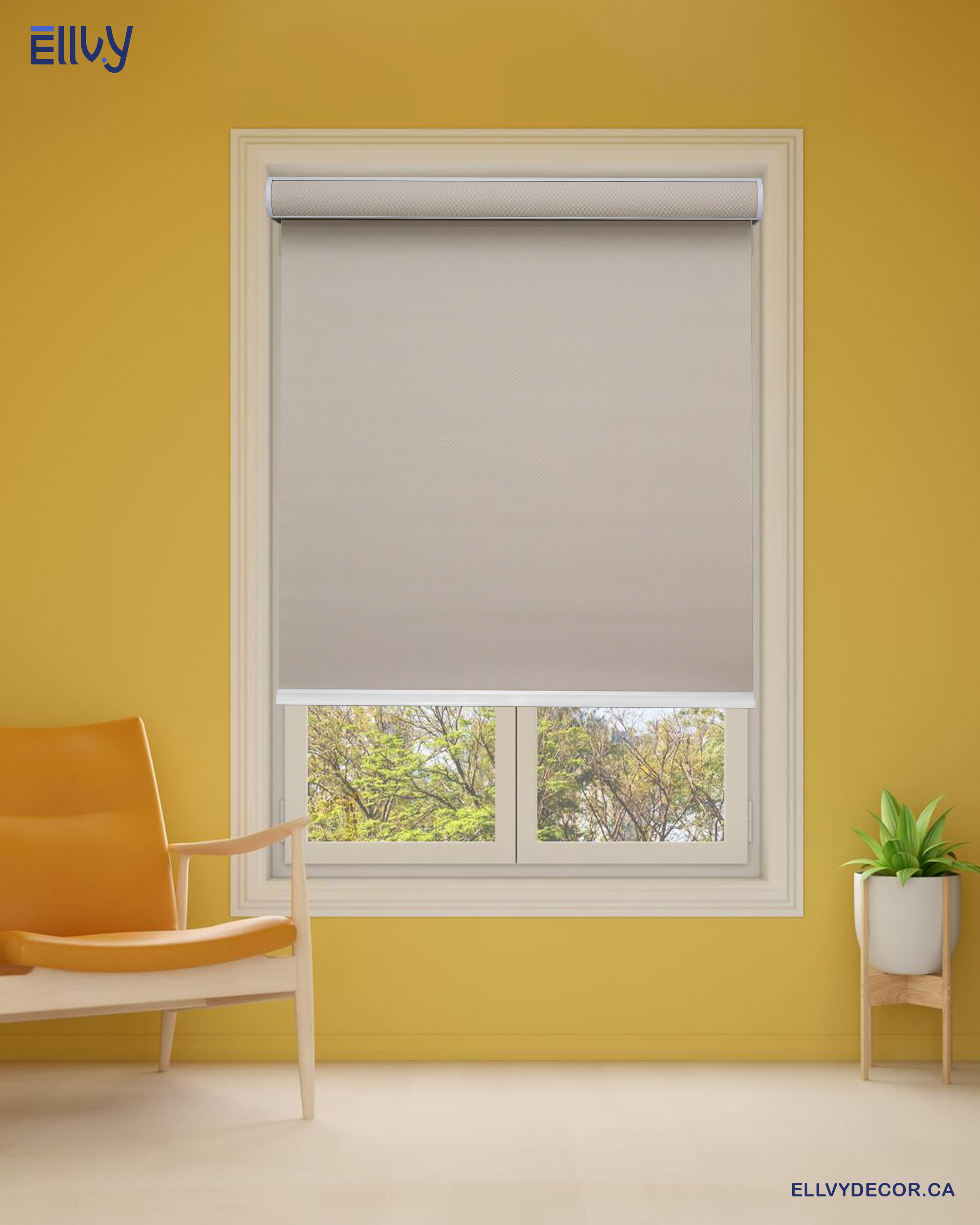 Blackout Roller Shades