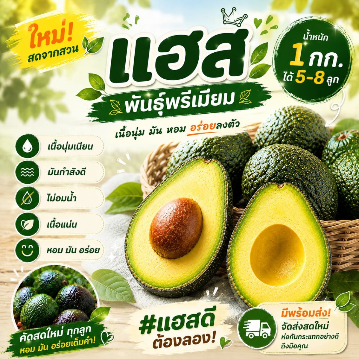 อโวคาโด้แฮสคละไซส์ 1 กิโลกรัม ได้ 5-8 ลูก