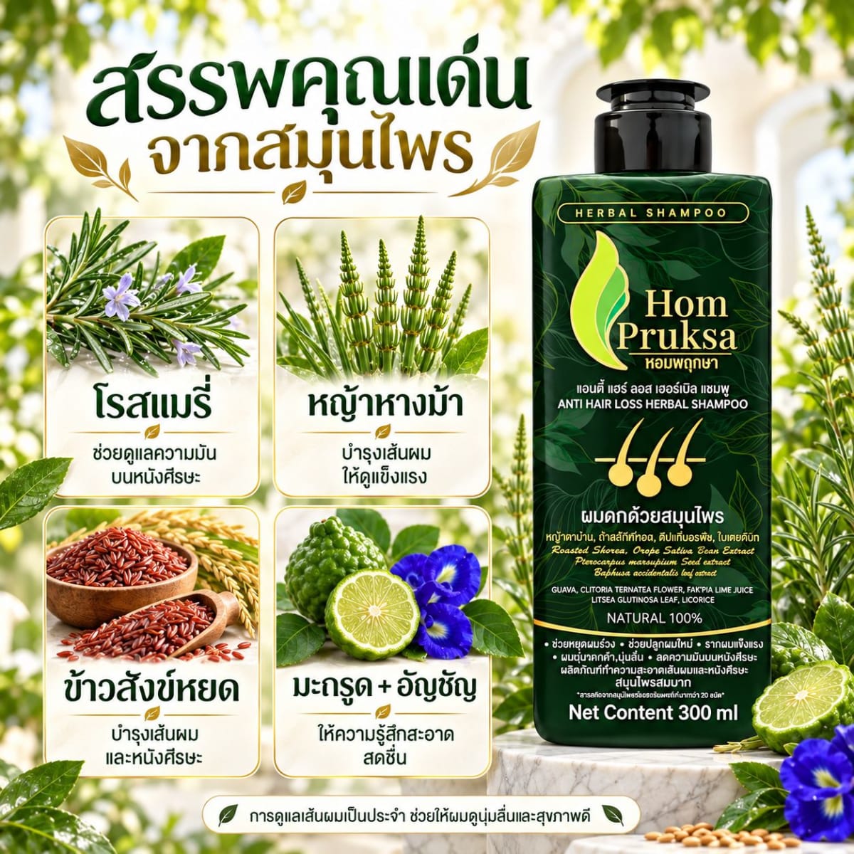 แอนตี้ แฮร์ ลอส เฮอร์เบิล แชมพู ปลูกผม ลดผมร่วง หอมพฤกษา (HomPruksa) อ่อนโยนถนอมเส้นผม บำรุงรากผม หนังศีรษะ 300 ml. 3