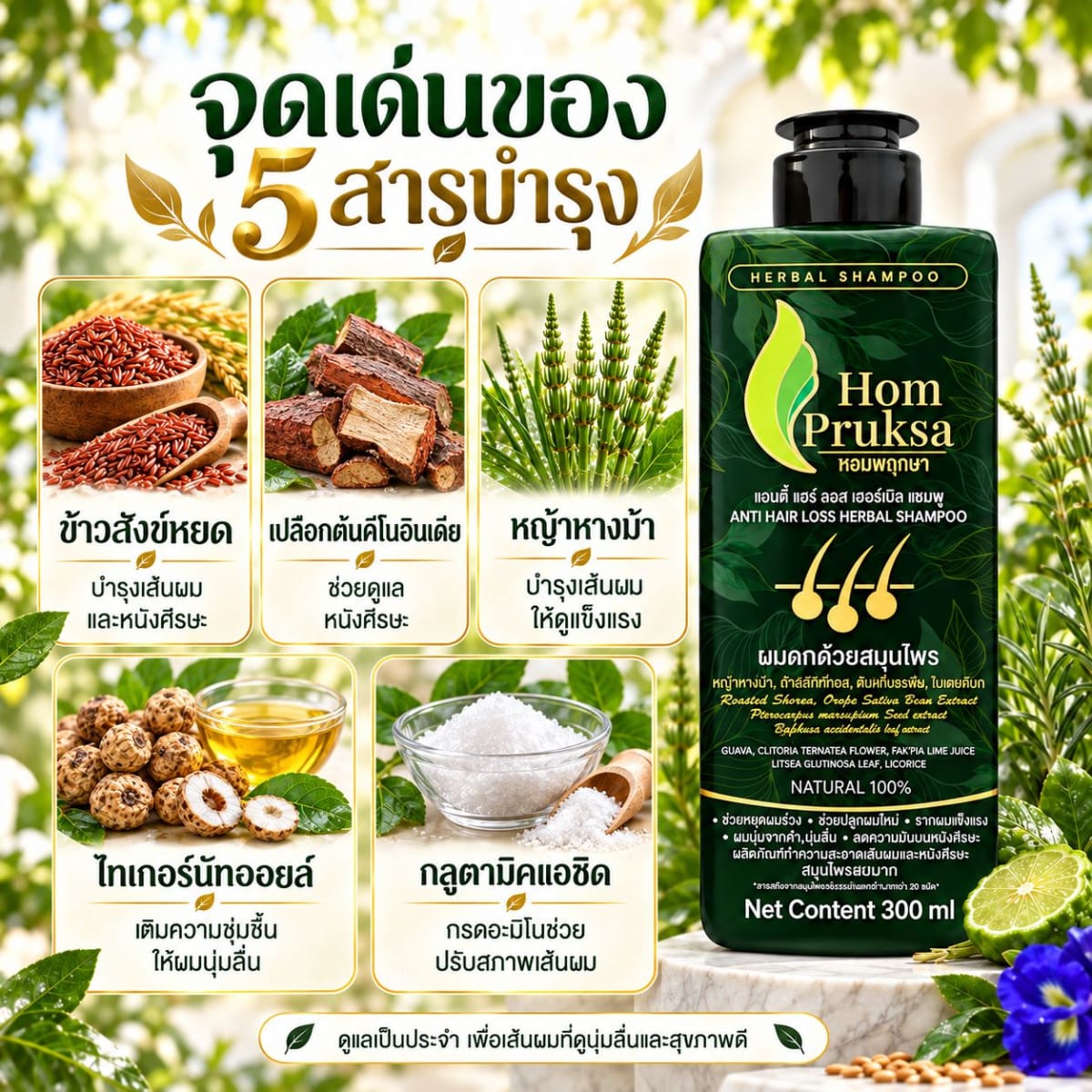 แอนตี้ แฮร์ ลอส เฮอร์เบิล แชมพู ปลูกผม ลดผมร่วง หอมพฤกษา (HomPruksa) อ่อนโยนถนอมเส้นผม บำรุงรากผม หนังศีรษะ 300 ml. 4