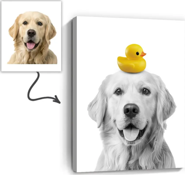 Pet Adoption App
