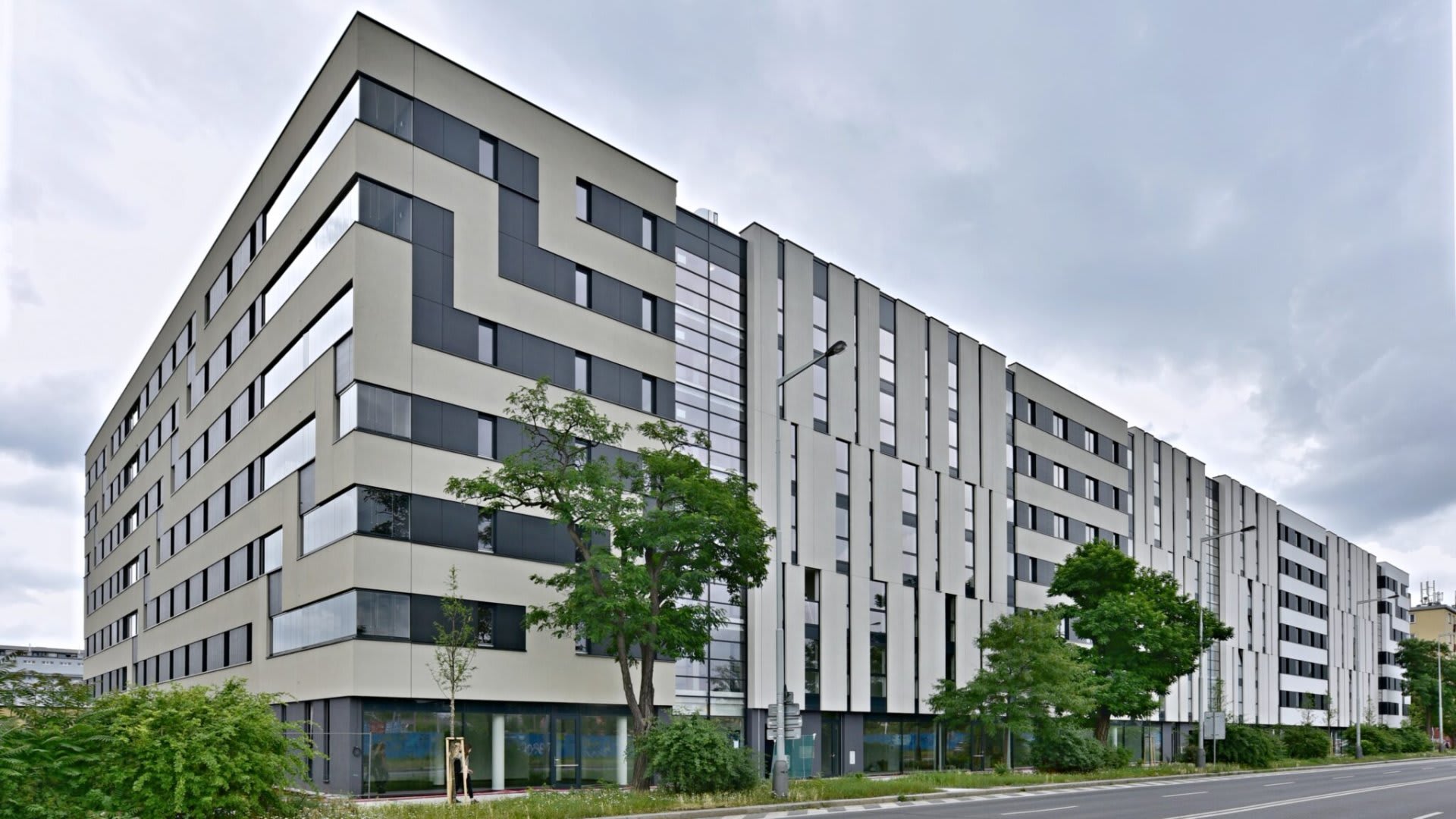 Vivus Argentinská - 3