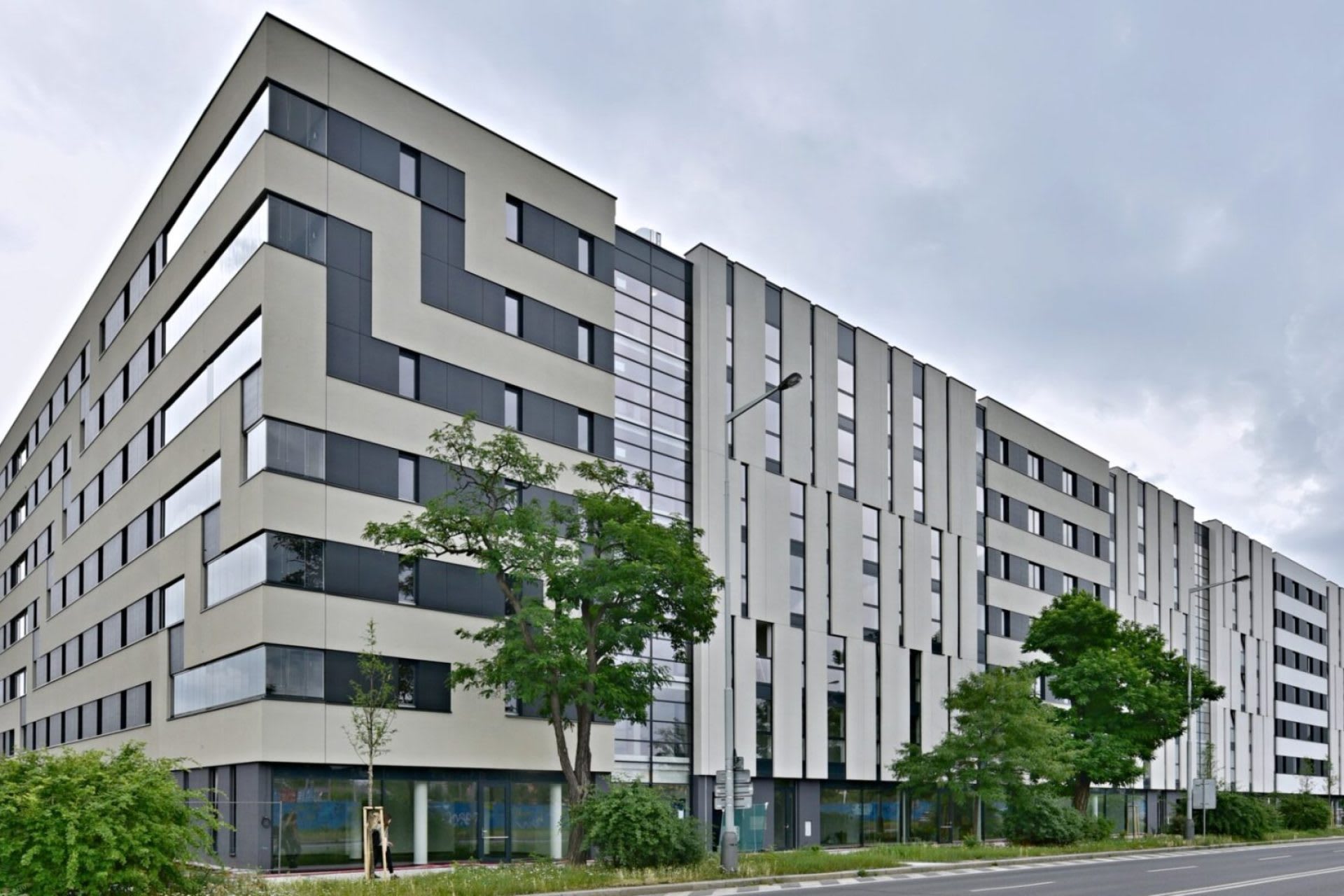 Vivus Argentinská - 4