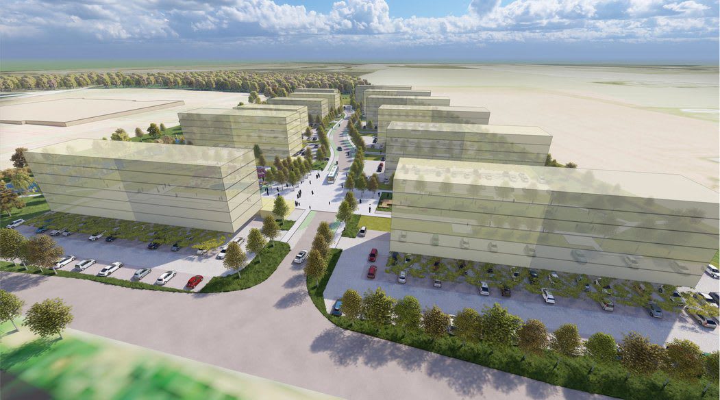 Růžové pole Kladno - 3