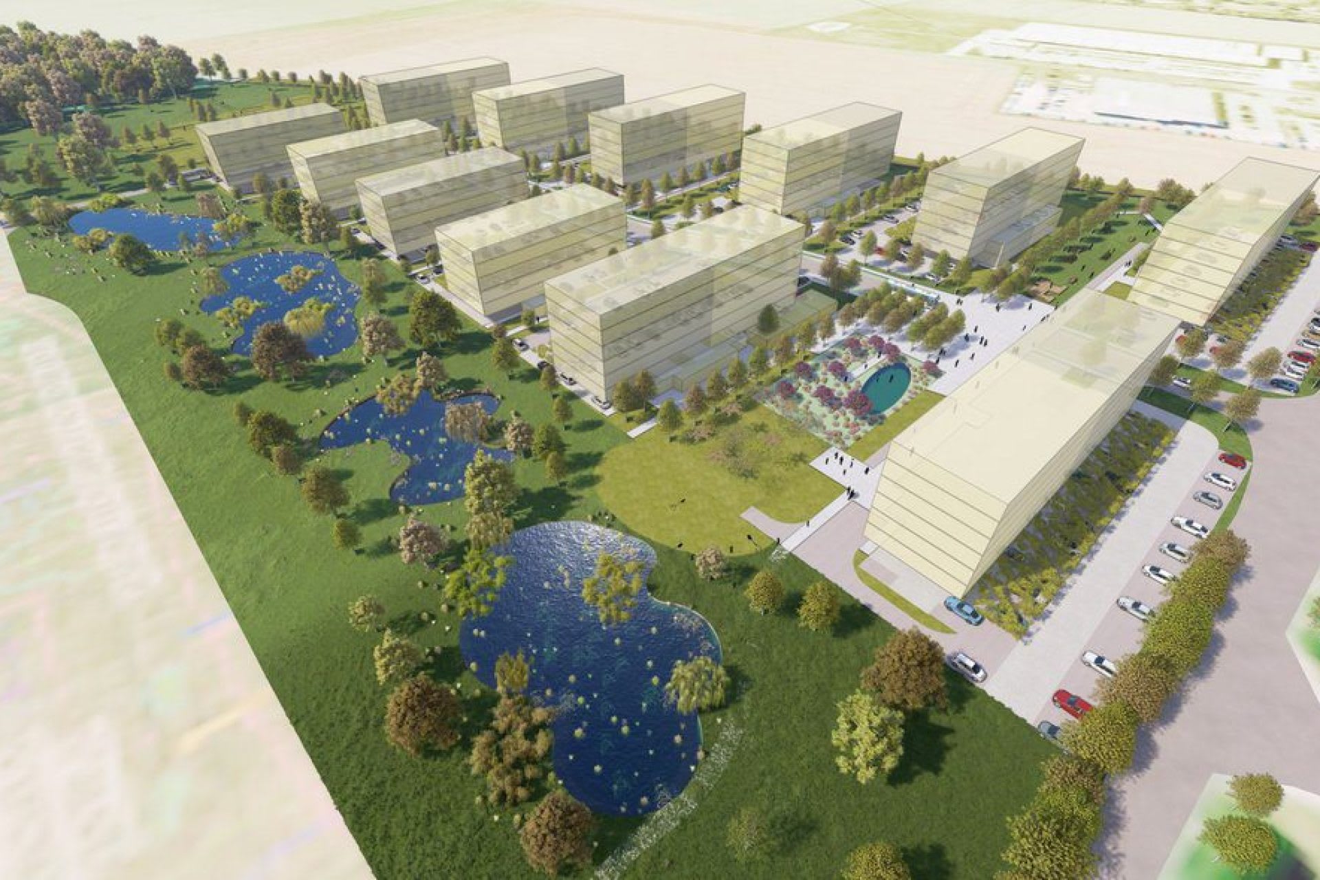 Růžové pole Kladno - 4