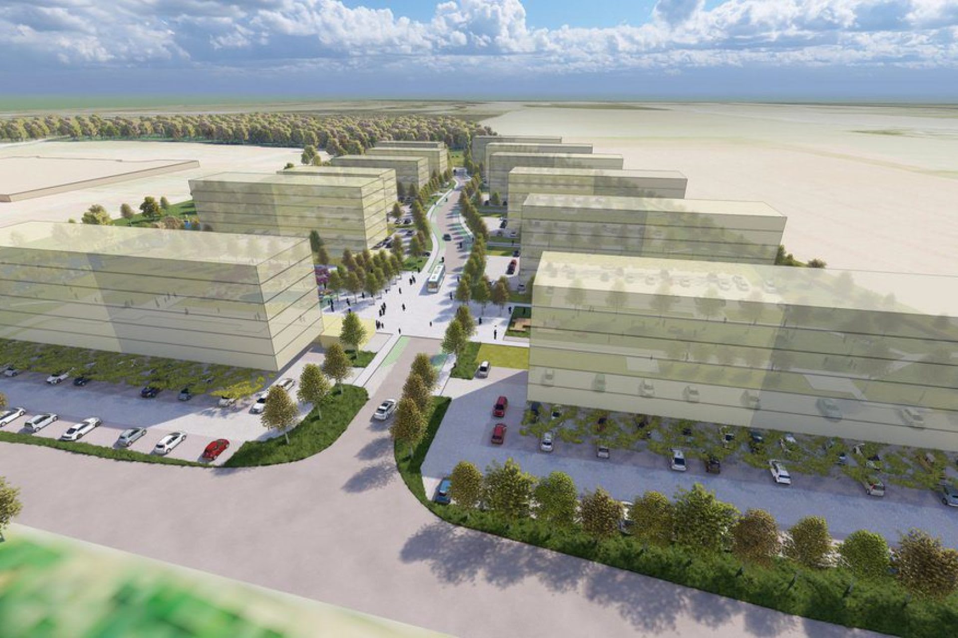 Růžové pole Kladno - 5