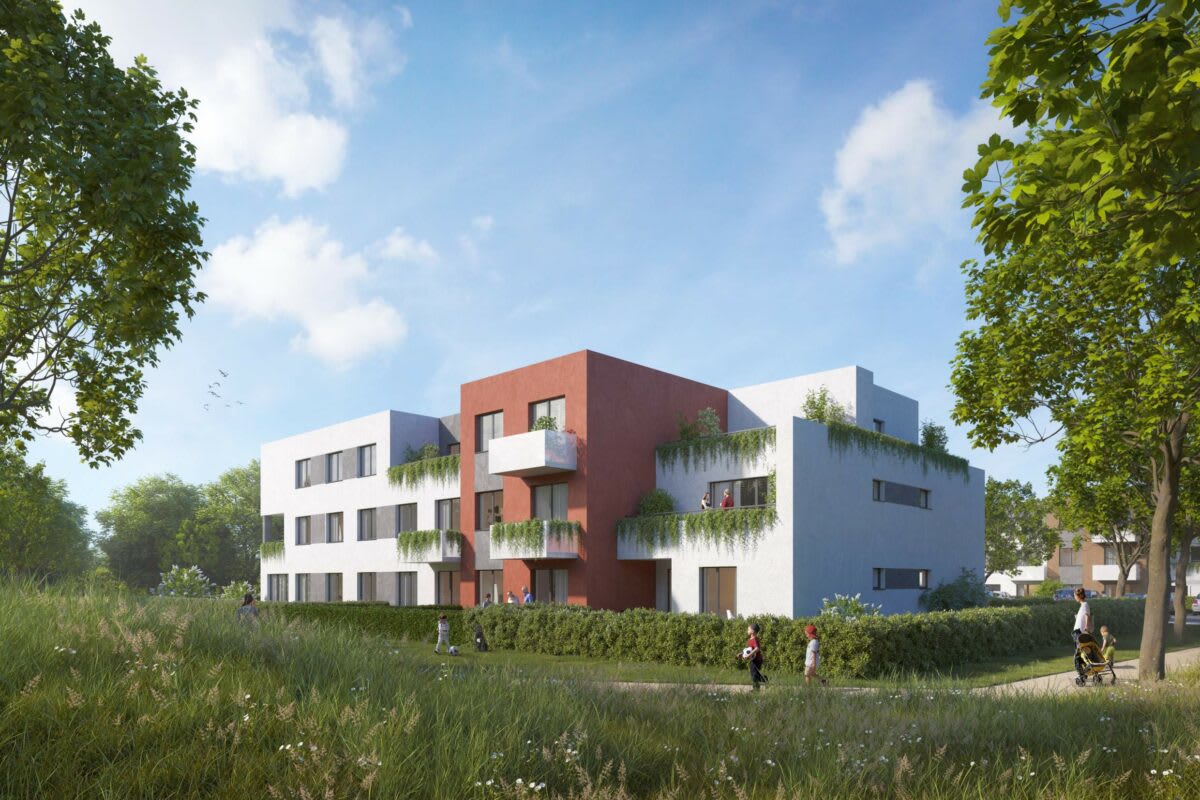 Ekobyty Nad Lesy - 5