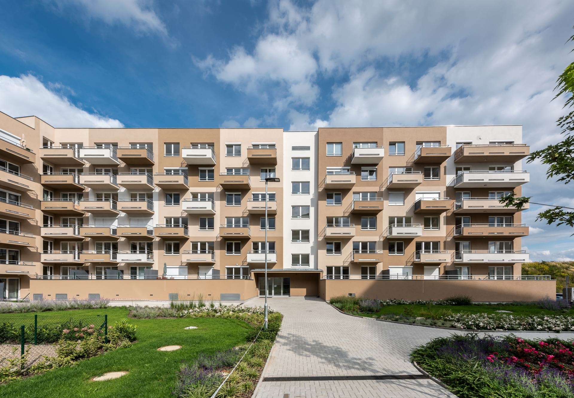 Javorová čtvrť II - 1