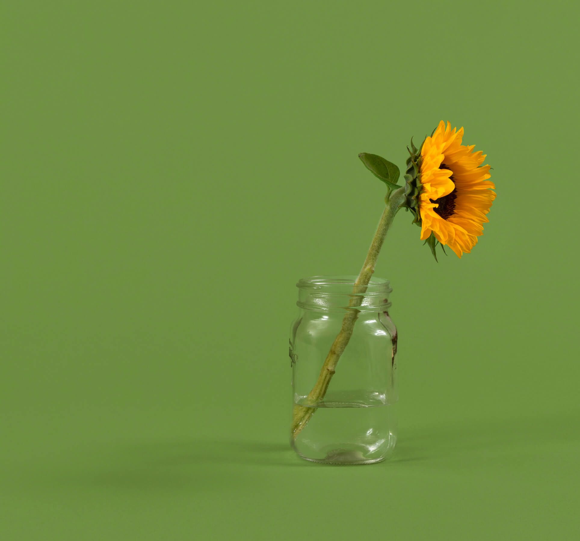 customer-portal-hero