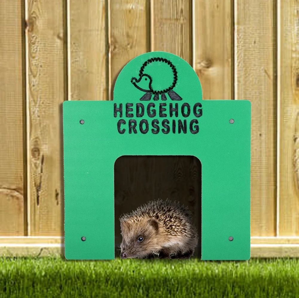 hedgehog tunnel