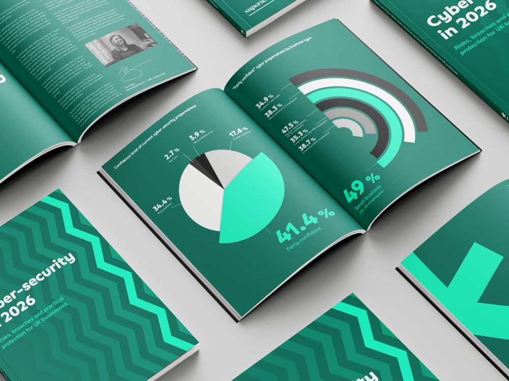 snapshot of risk report