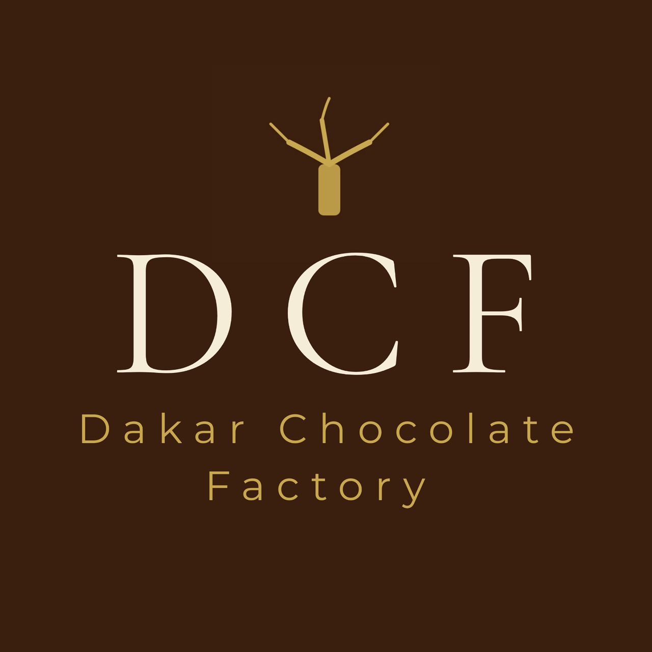 Dakar Chocolate Factory