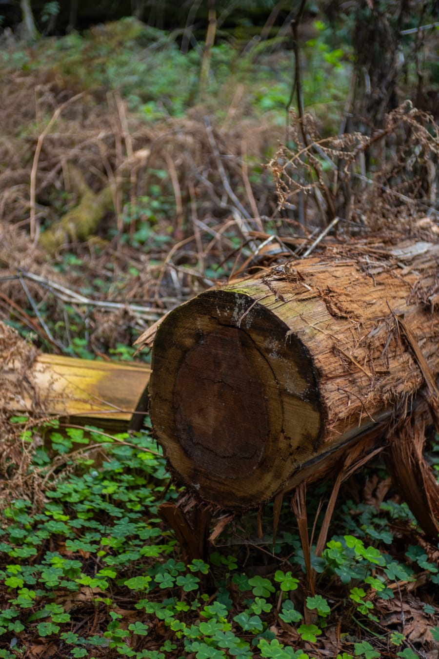 touch_grass.exe — image 8