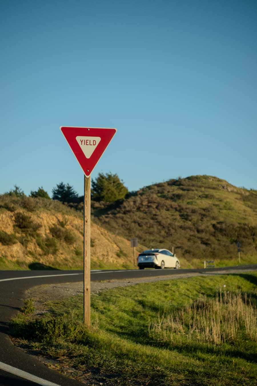 touch_grass.exe — image 7