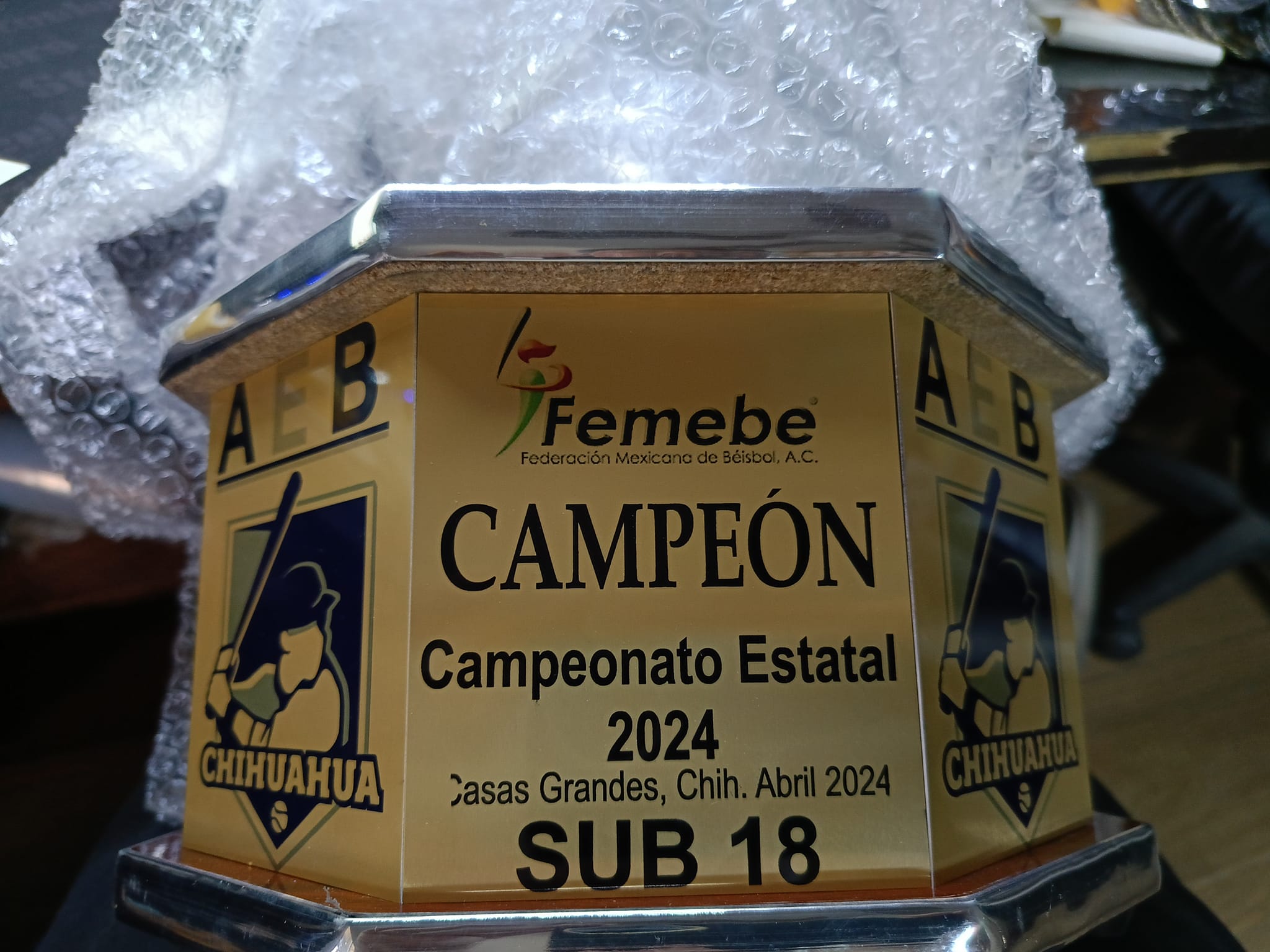 Campeonato Estatal