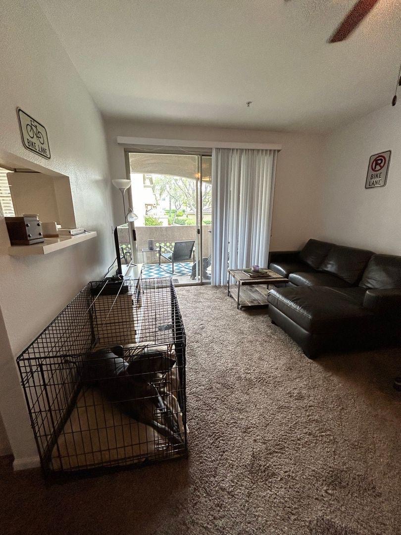 AVAILABLE NOW!!! gallery image in Riverside, California