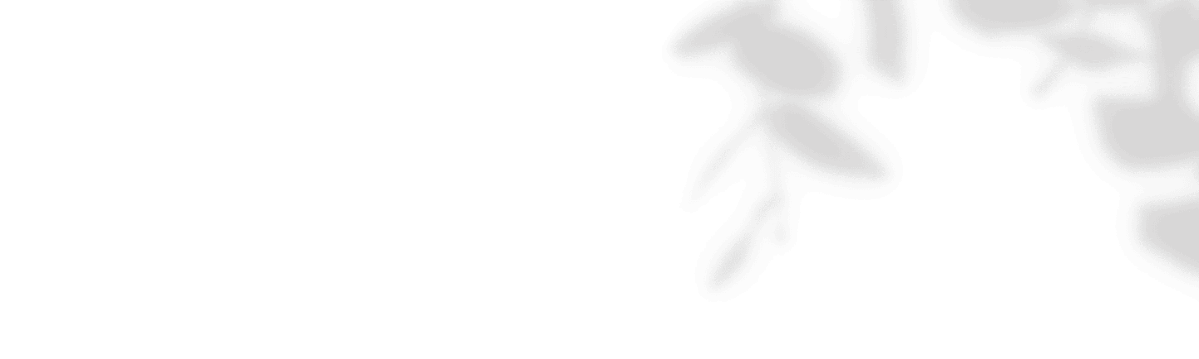 DigDeeper Leaders decorative background