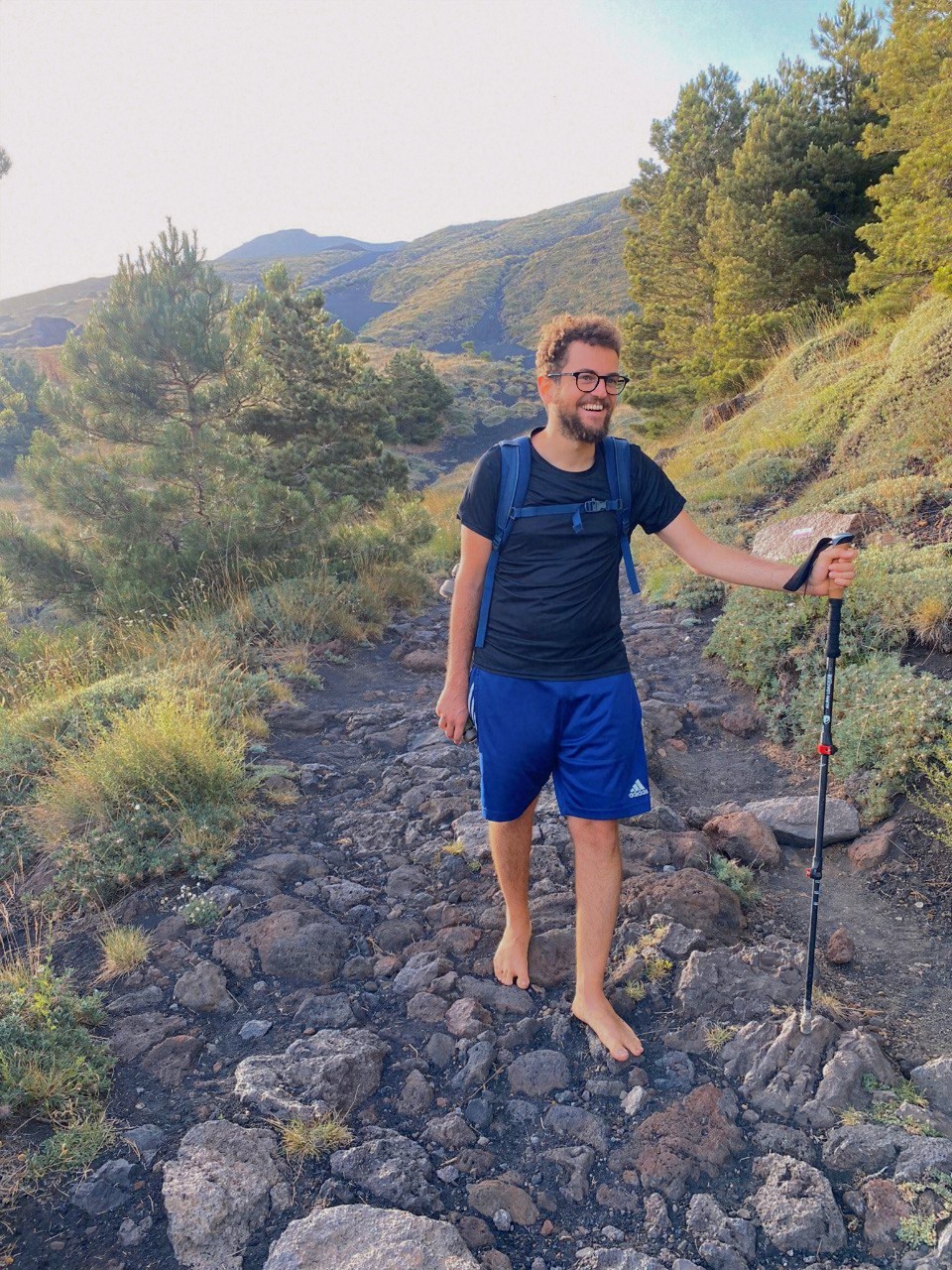 Morning light through branches