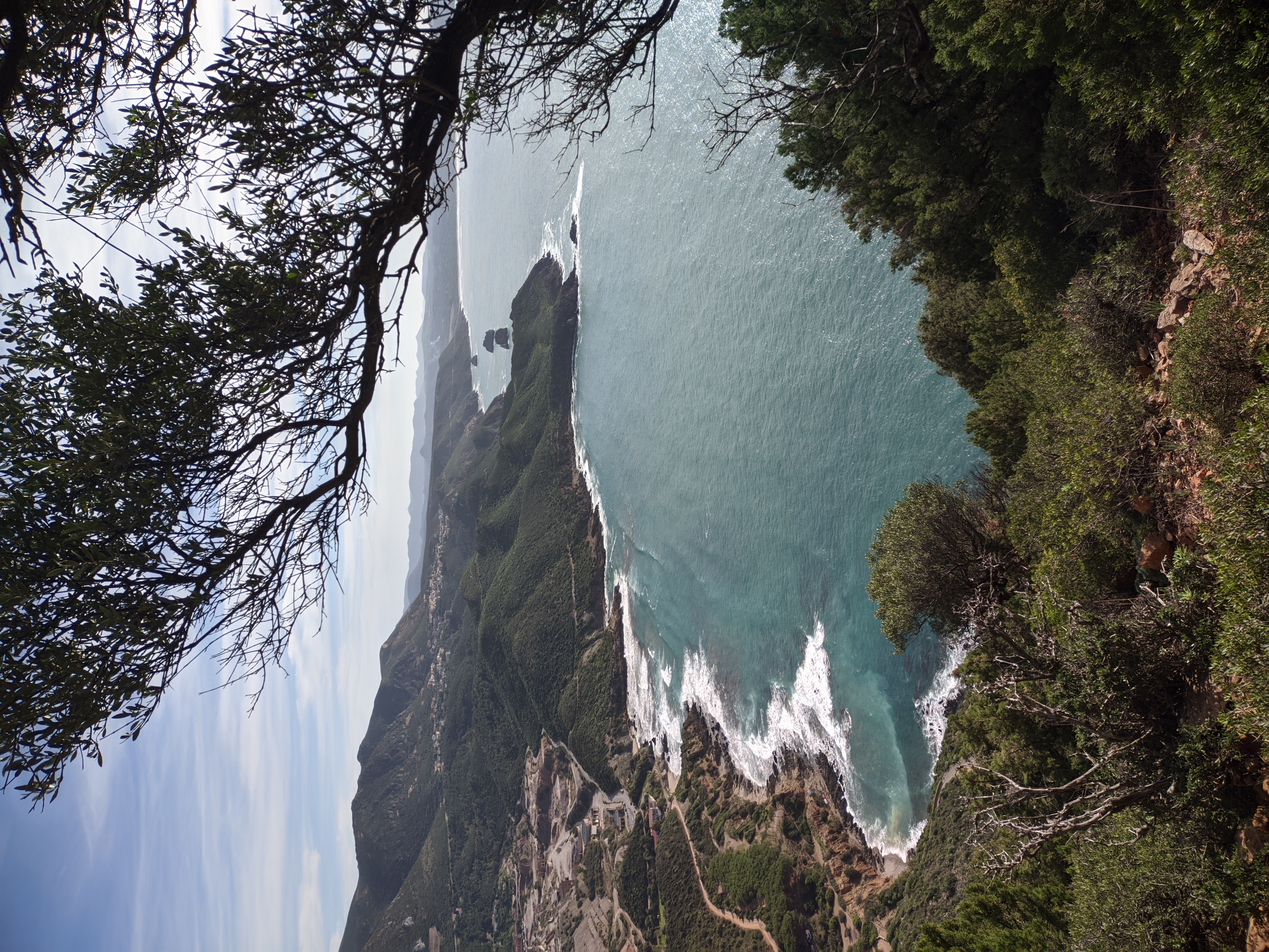 View from the promontory