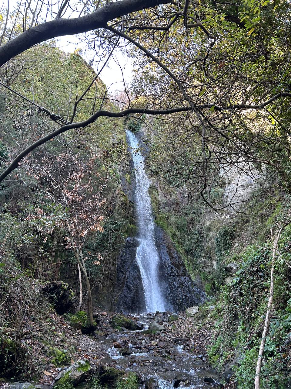 Cover for Following the Lightness of the Rainbow