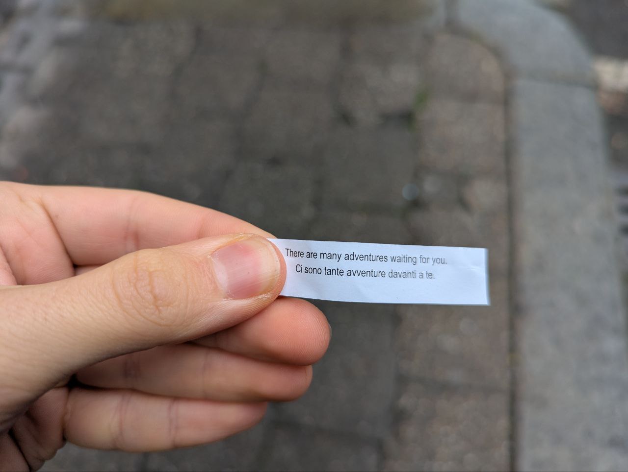 Fortune cookie phrase