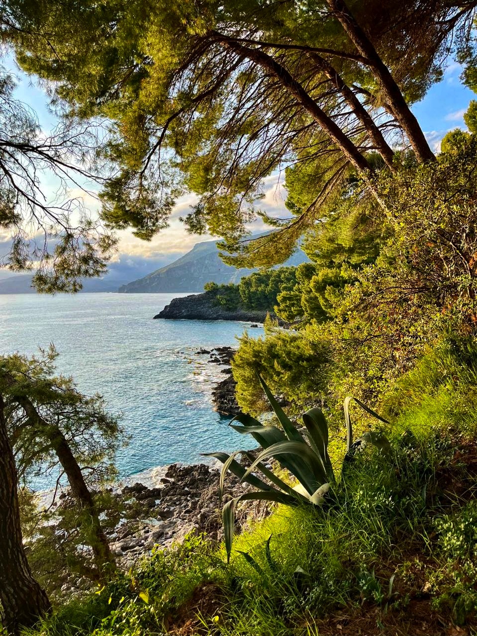 Marina di Maratea trails