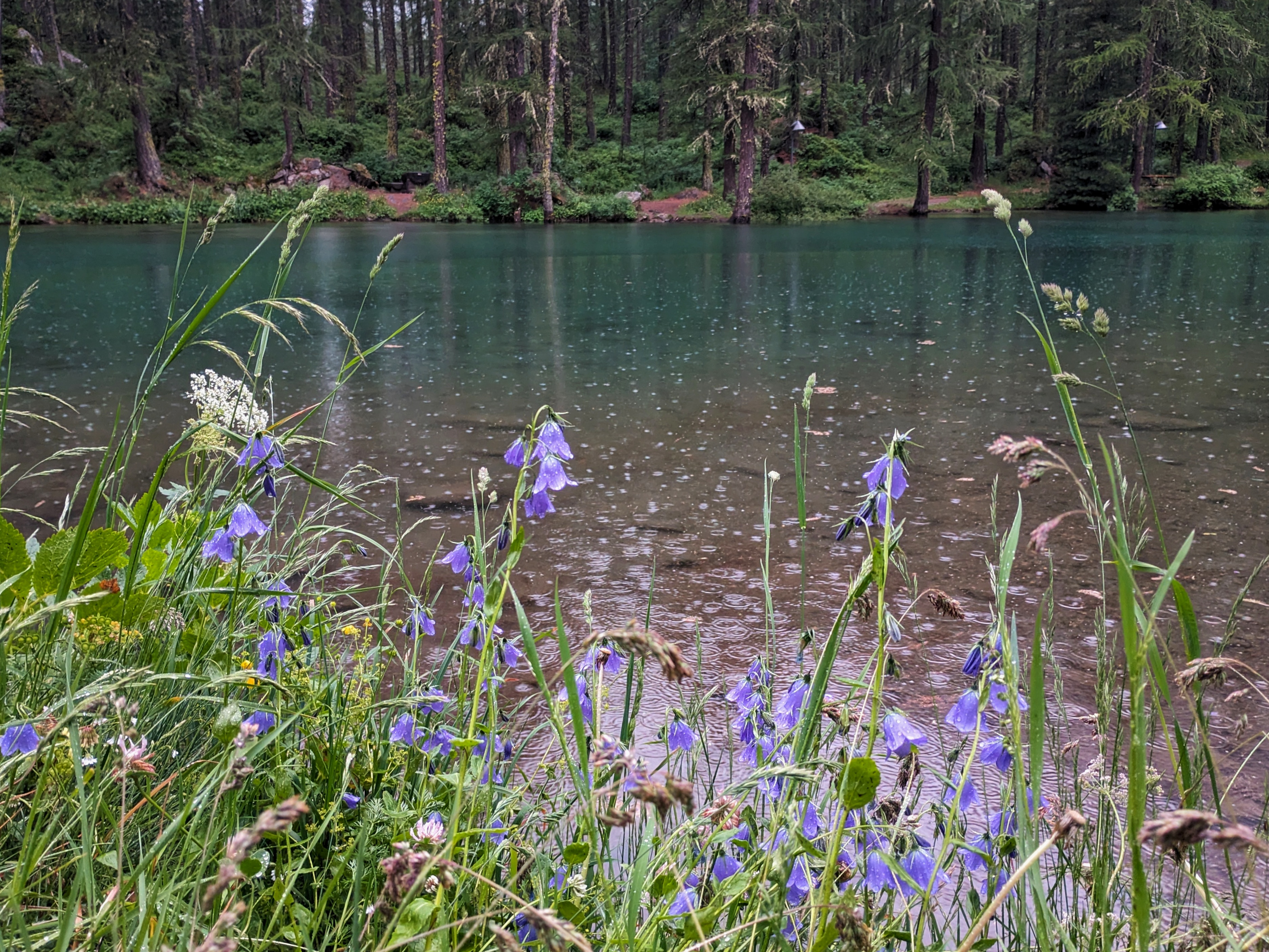 The small lake near the waterfall