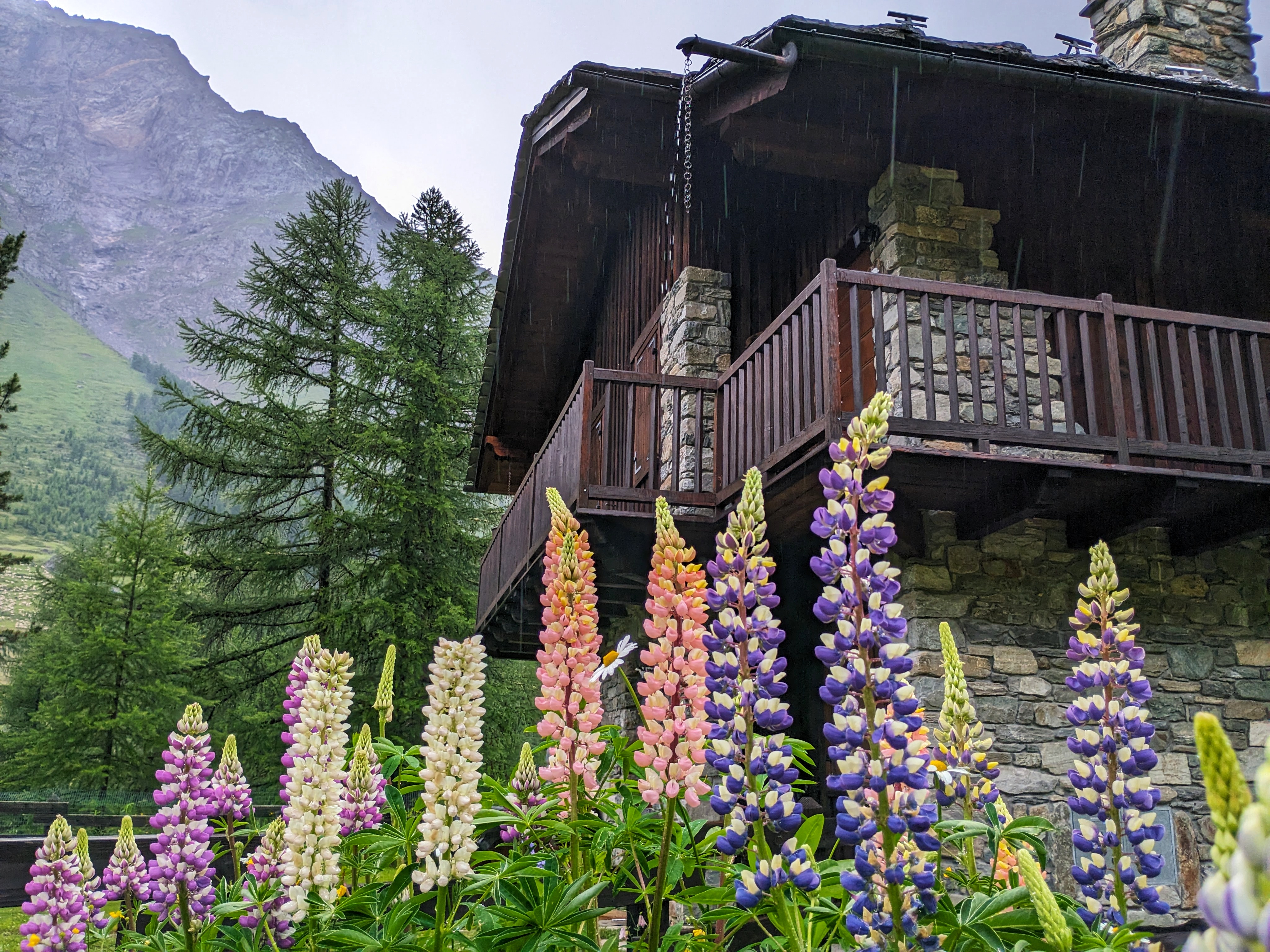 The chalets near the mountain hut