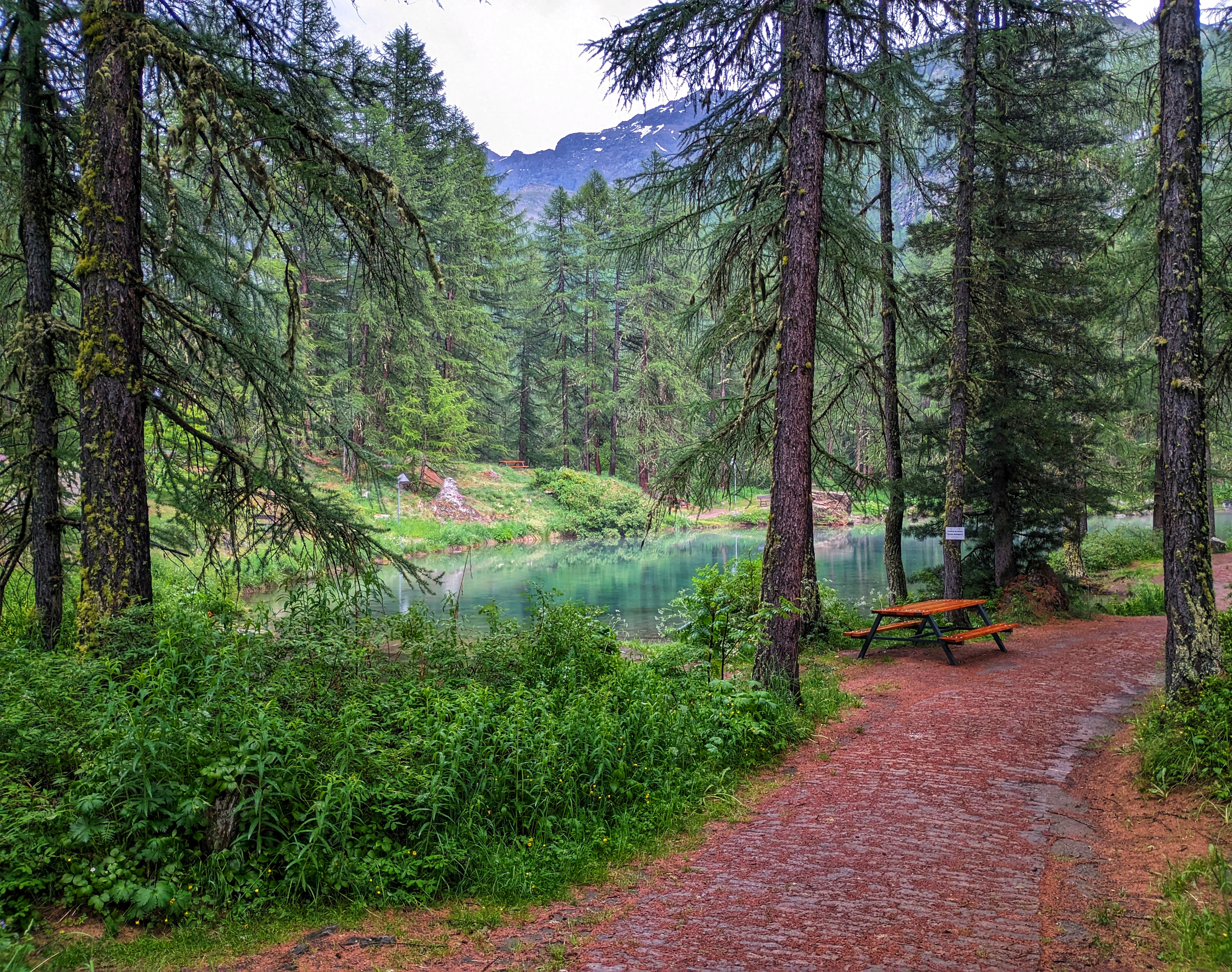 The trail to the waterfall