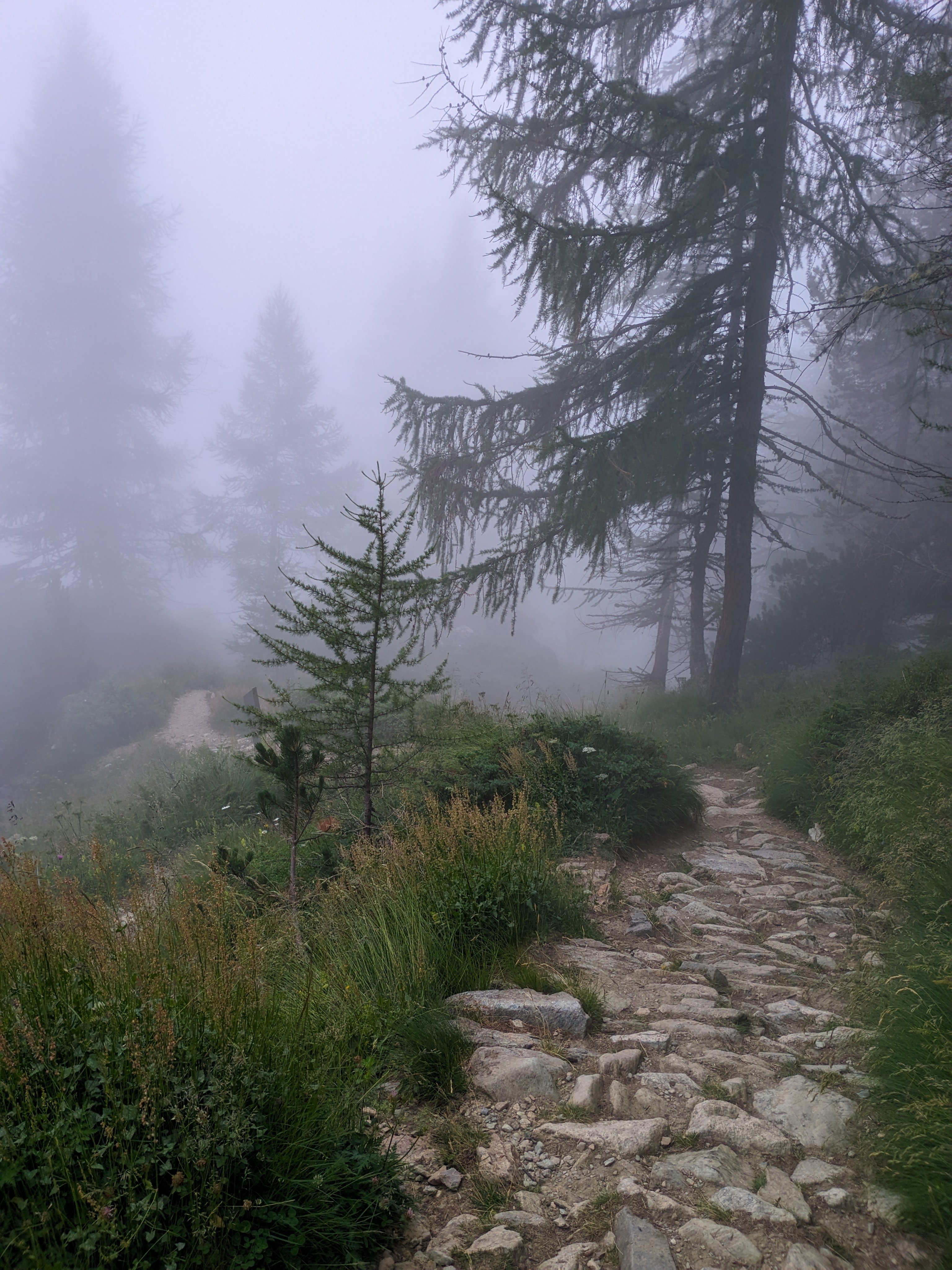 The trail to Lago Miserin