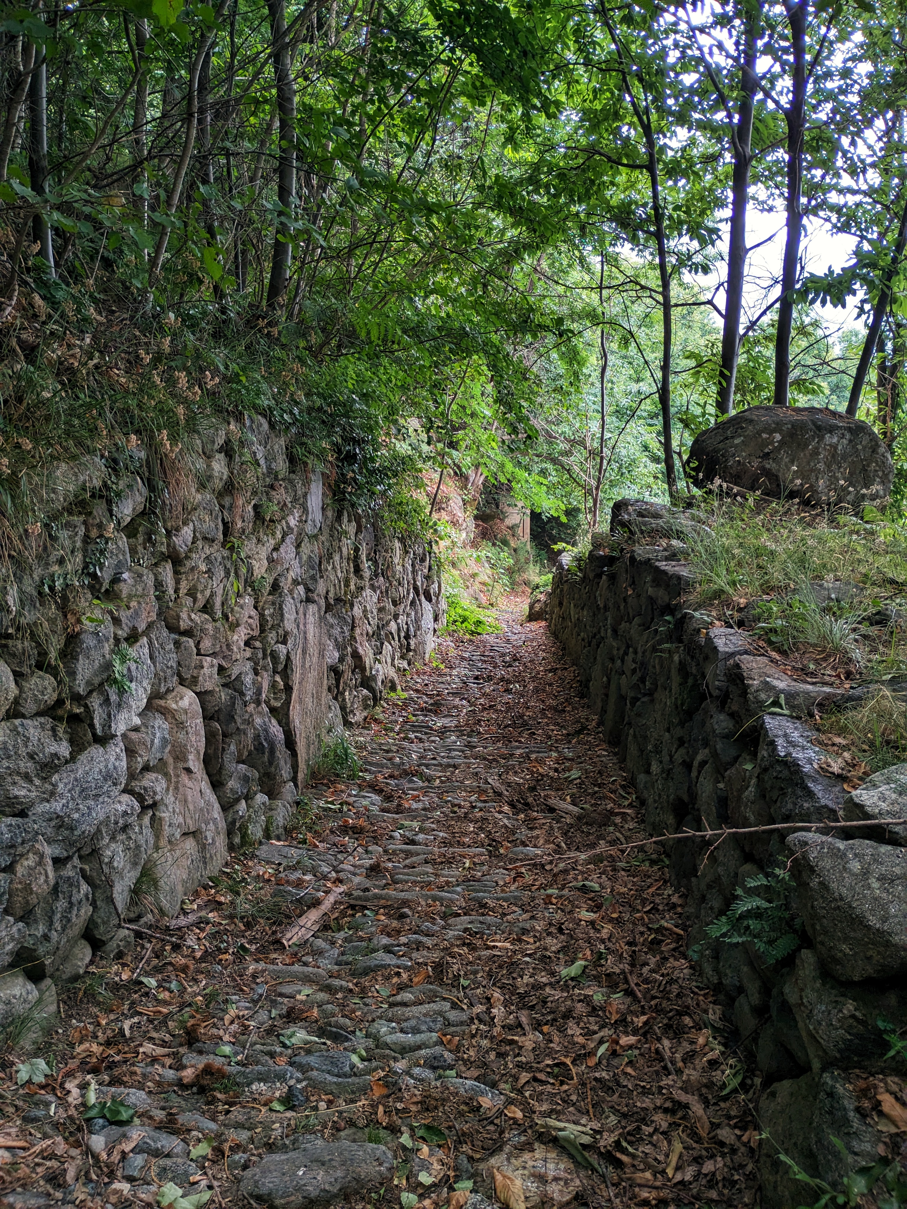 The trail in the woods of Nomaglio, near the Celtic cemetery area