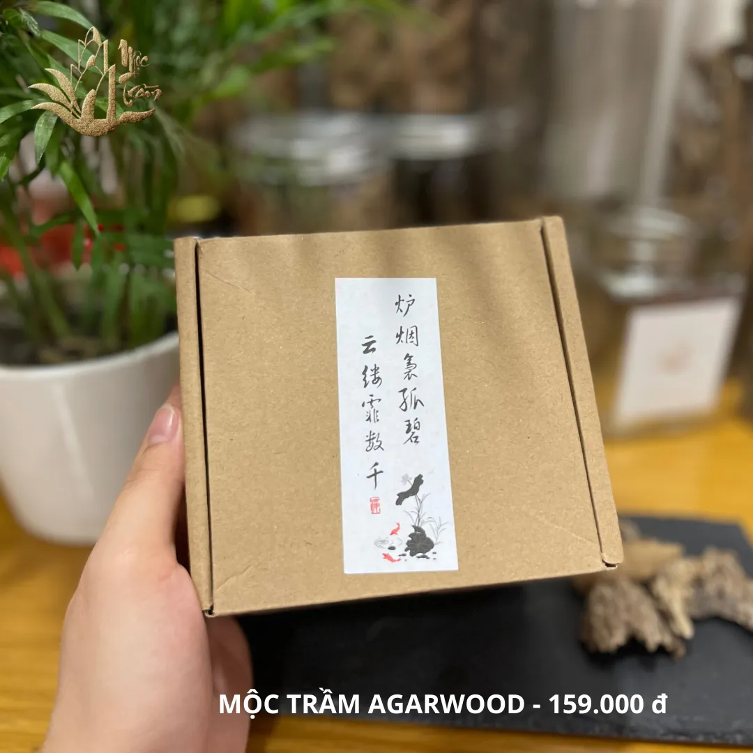 Lư Xông Trầm Hương - Đỉnh đốt nhang bằng gốm sứ cao cấp có hoa văn chạm khắc có lót chống cháy