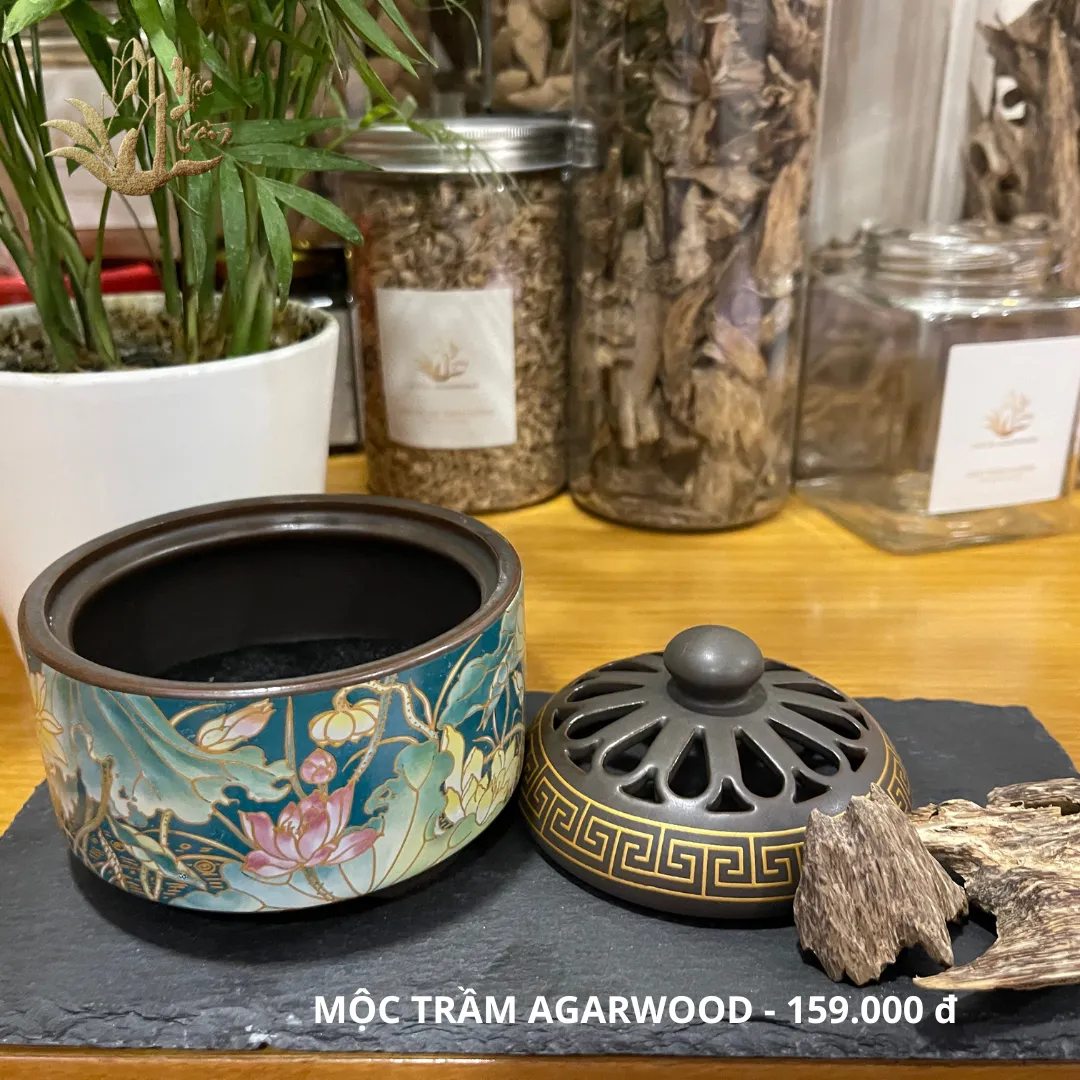 Lư Xông Trầm Hương - Đỉnh đốt nhang bằng gốm sứ cao cấp có hoa văn chạm khắc có lót chống cháy