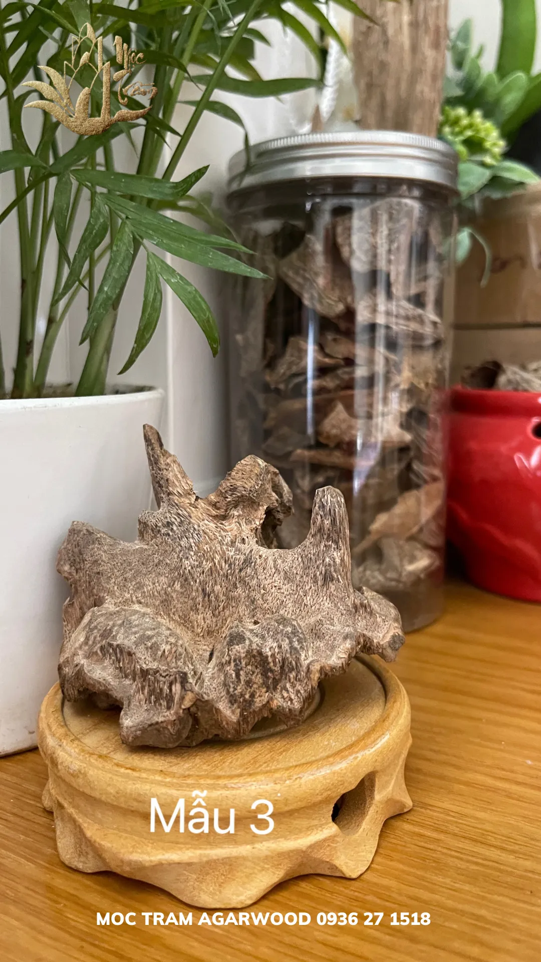 Hết hàng_Trầm hương cảnh - Trầm cảnh mini tự nhiên để bàn làm việc ông địa trang trí, thu hút tài lộc