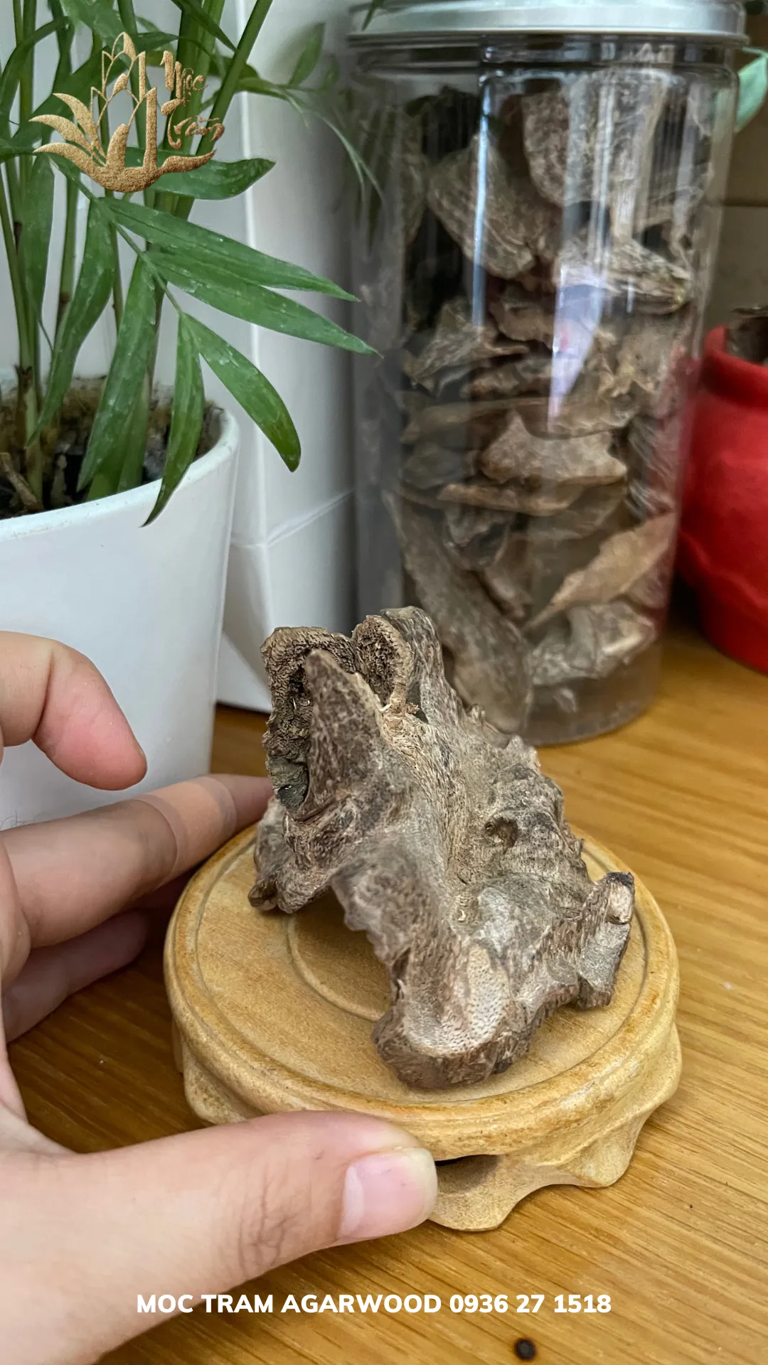 Hết hàng_Trầm hương cảnh - Trầm cảnh mini tự nhiên để bàn làm việc ông địa trang trí, thu hút tài lộc