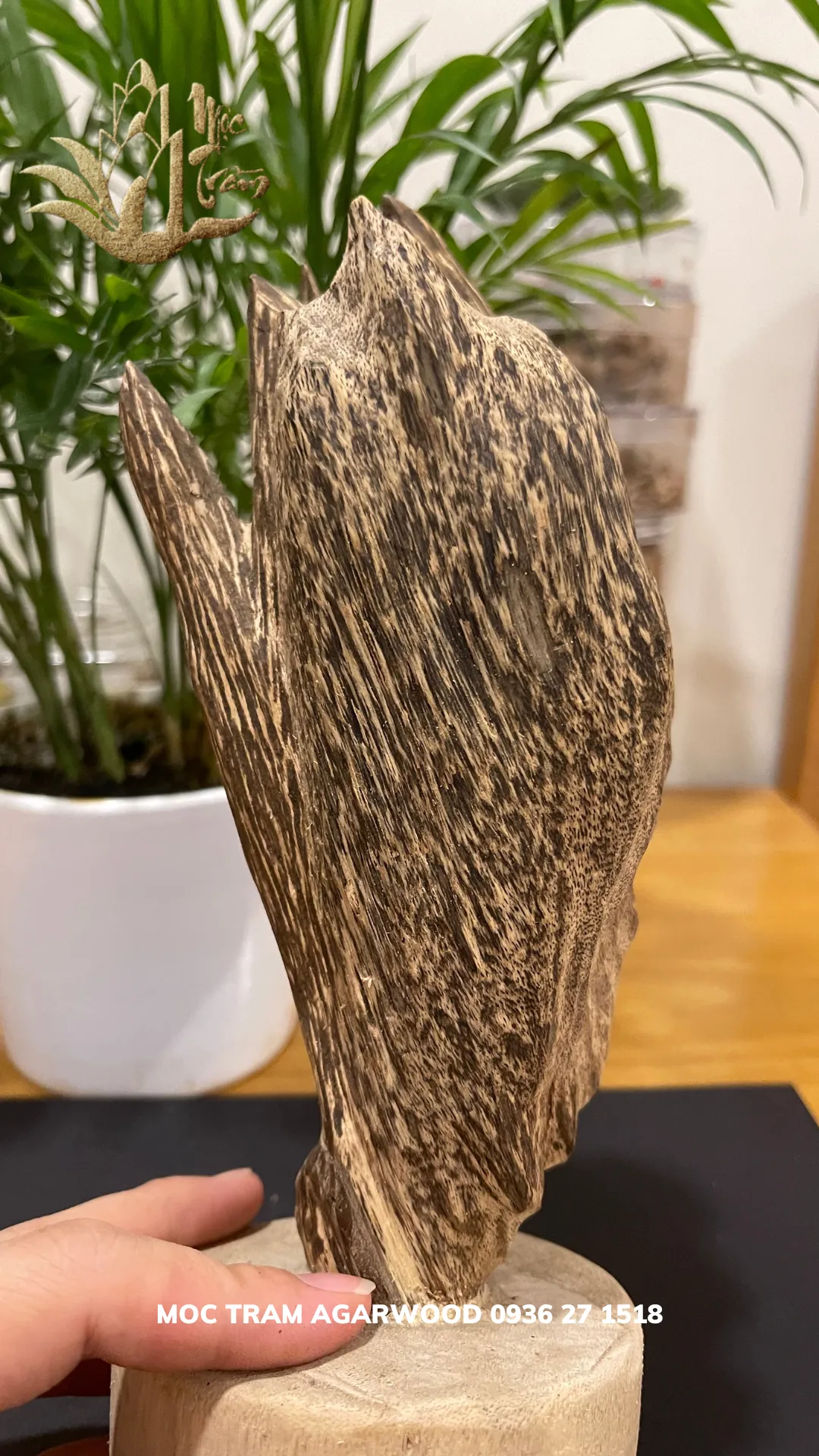 Hết hàng_Trầm hương cảnh - Trầm cảnh mini tự nhiên để bàn làm việc ông địa trang trí, thu hút tài lộc