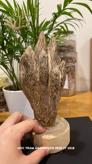 Hết hàng_Trầm hương cảnh - Trầm cảnh mini tự nhiên để bàn làm việc ông địa trang trí, thu hút tài lộc