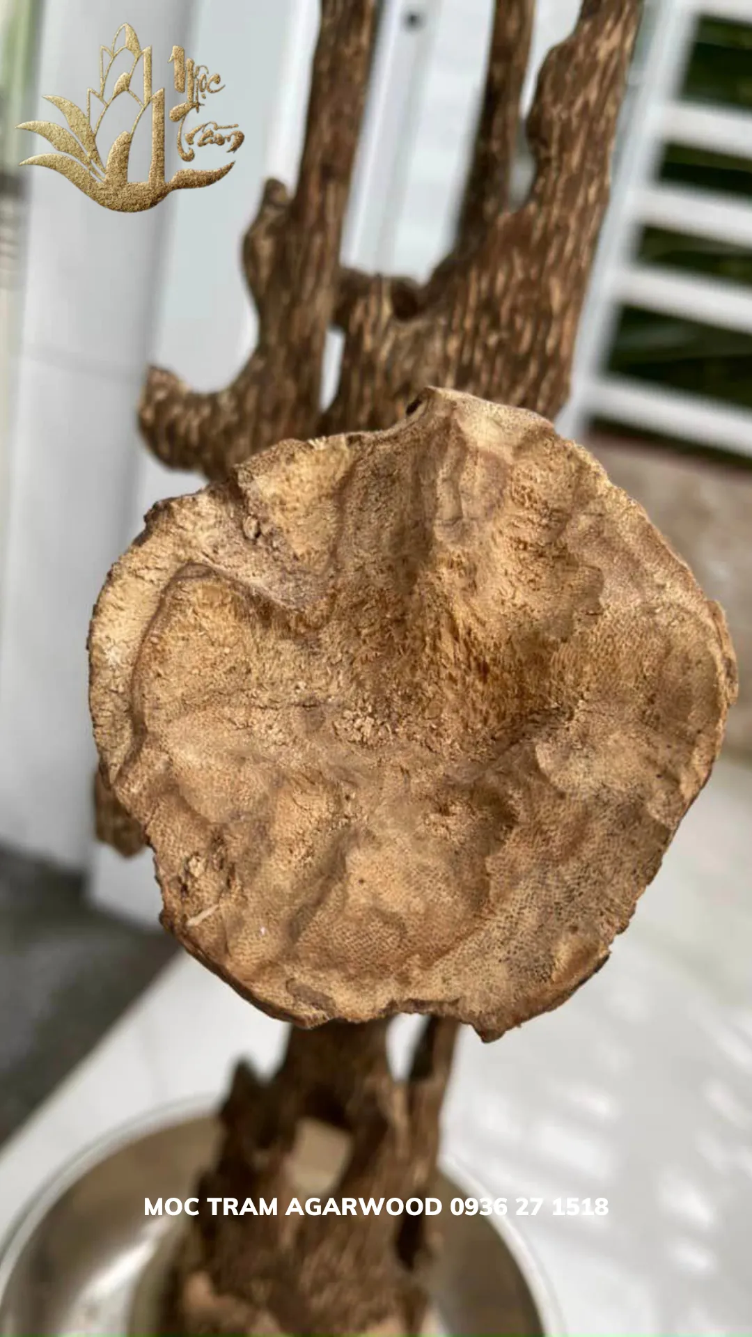 Hết hàng_Trầm hương cảnh - Trầm cảnh kiến dáng tự nhiên Trưng phong thuỷ trang trí nhà cửa