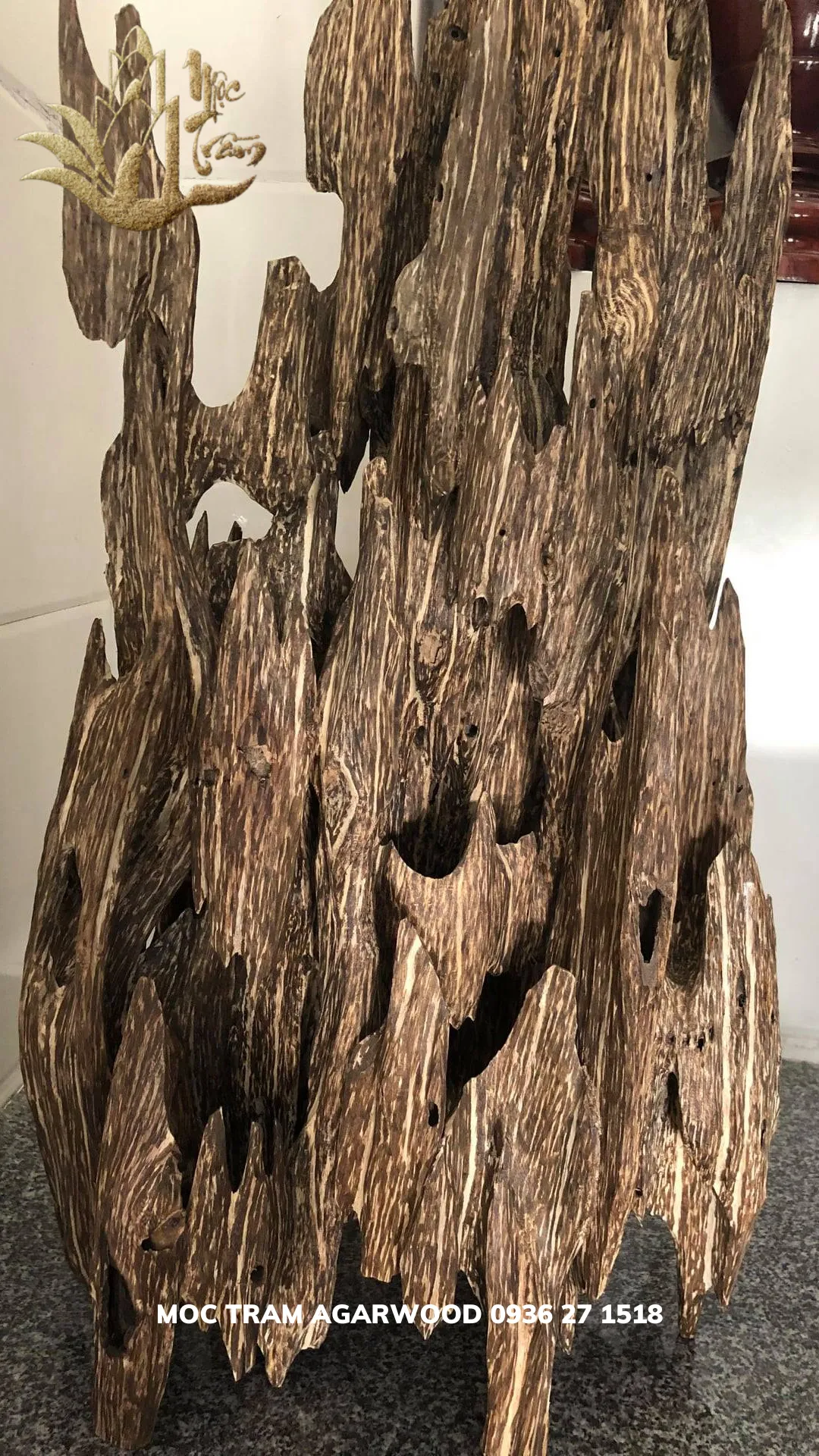 Hết hàng_Trầm hương cảnh - Trầm cảnh Tốc kiến vườn khối ghép lớn