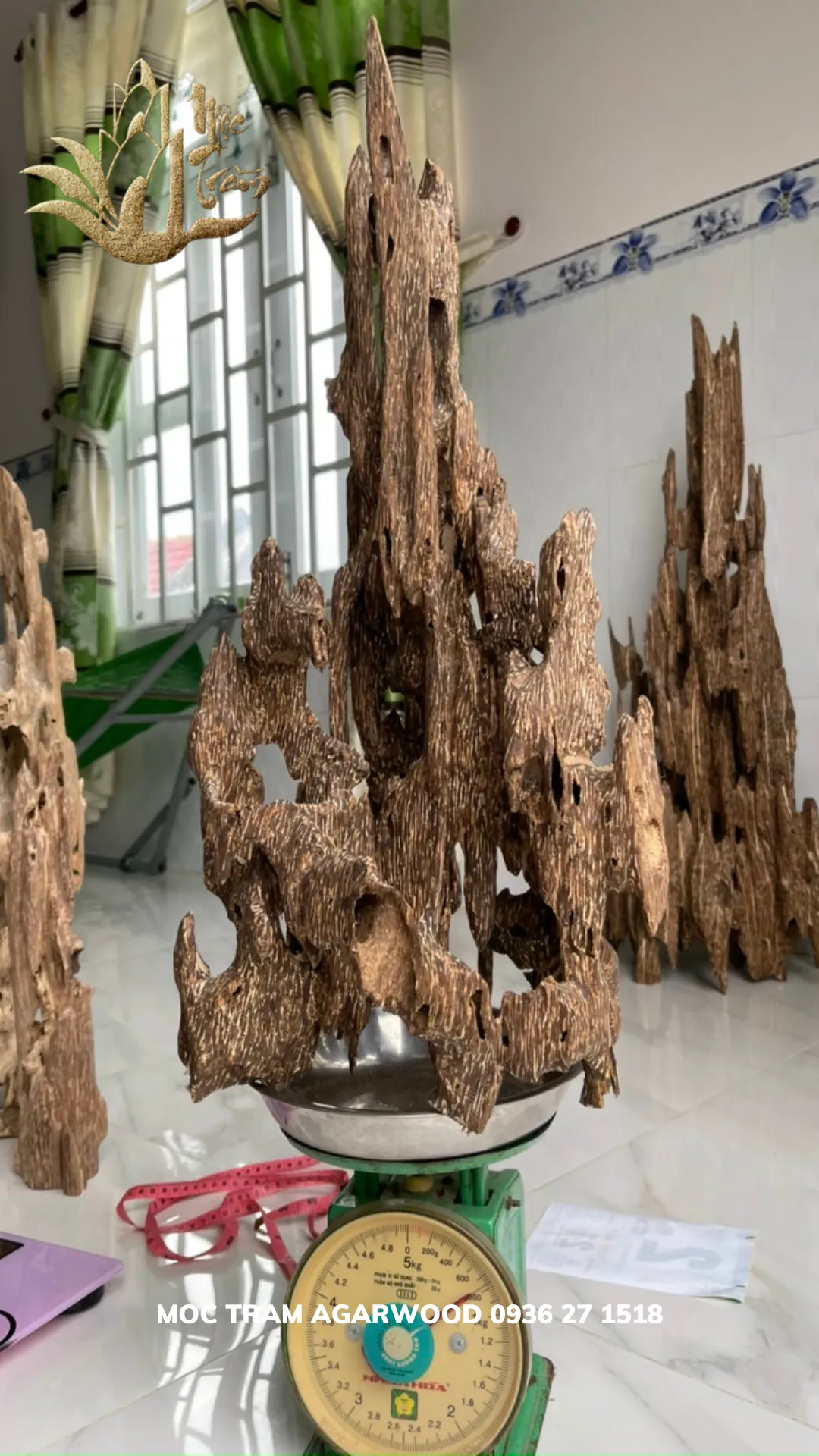 Hết hàng_Trầm hương cảnh - Trầm cảnh Tốc kiến vườn khối ghép