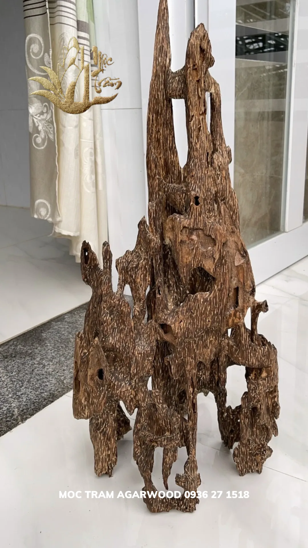 Hết hàng_Trầm hương cảnh - Trầm cảnh Tốc kiến vườn khối ghép