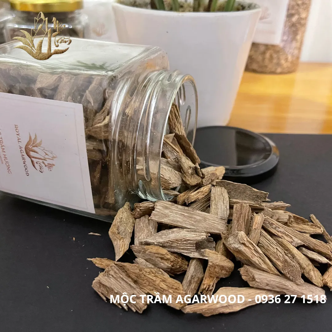 [HẾT HÀNG] [Nhiều trọng lượng] Kiến Tốc rục Khánh Hoà - Miếng giác trầm hương thiên nhiên