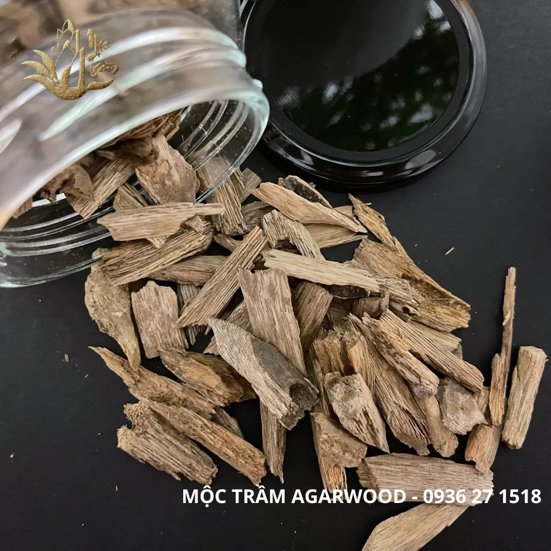 [HẾT HÀNG] [Nhiều trọng lượng] Kiến Tốc rục Khánh Hoà - Miếng giác trầm hương thiên nhiên