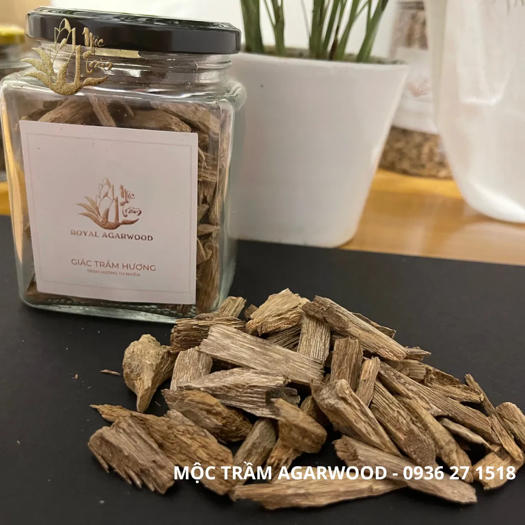 [HẾT HÀNG] [Nhiều trọng lượng] Kiến Tốc rục Khánh Hoà - Miếng giác trầm hương thiên nhiên