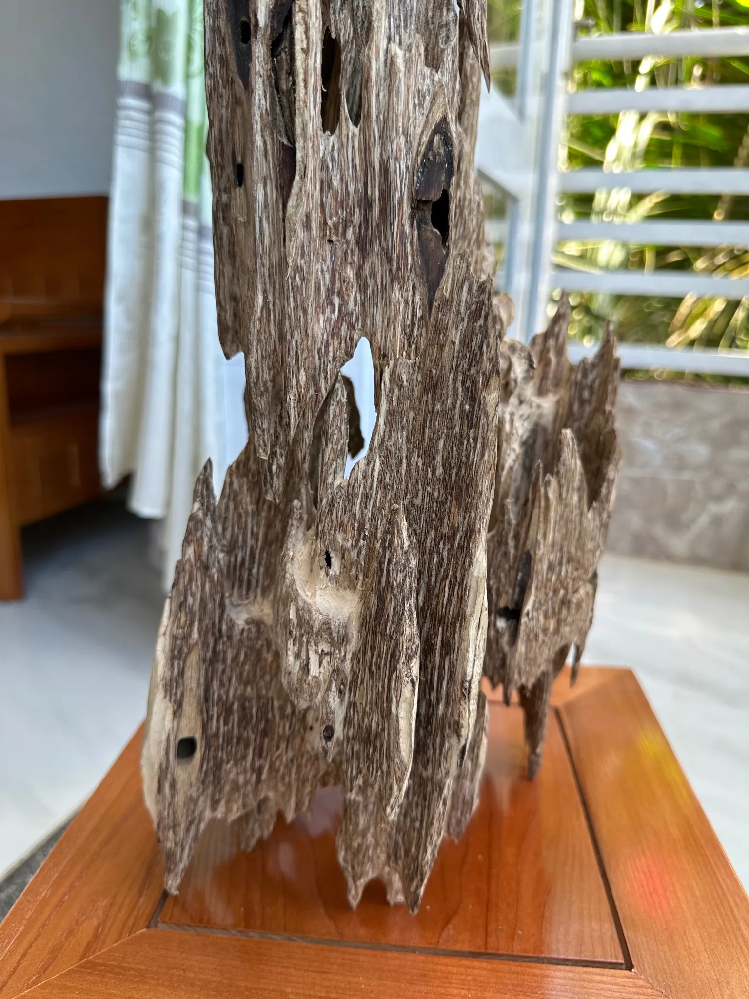 Hết hàng_Trầm hương cảnh trang trí khối lớn _ Trầm kiến chuẩn trầm tự nhiên vân mộc dáng độc đáo cao 60 cm