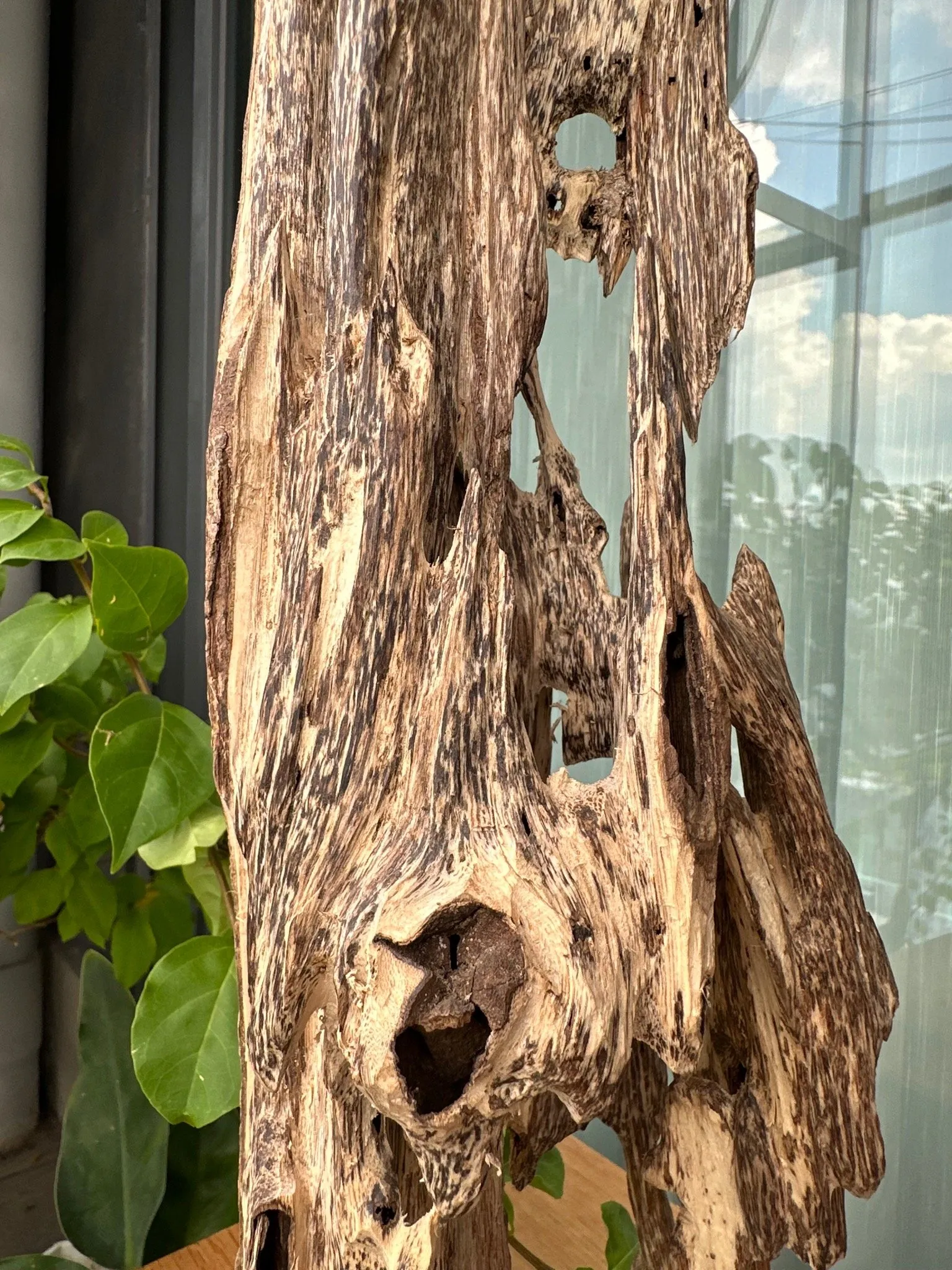 Hết hàng_Cảnh trầm hương tự nhiên nguyên khối lớn để trang trí nhà_quà tặng phong thuỷ cao cấp Mộc Trầm Agarwood