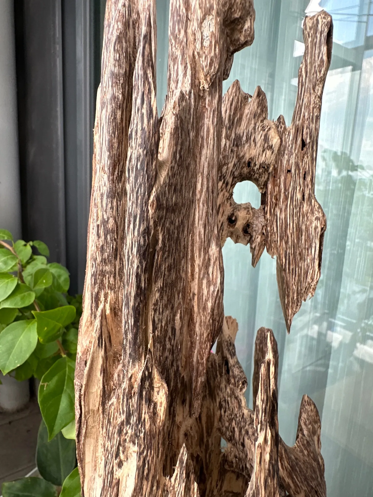 Hết hàng_Cảnh trầm hương tự nhiên nguyên khối lớn để trang trí nhà_quà tặng phong thuỷ cao cấp Mộc Trầm Agarwood