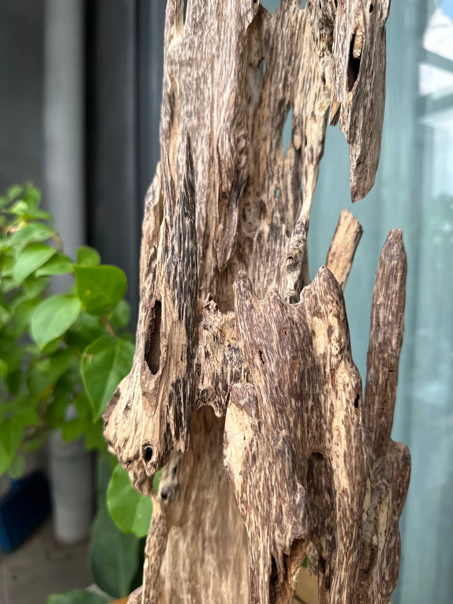 Hết hàng_Cảnh trầm hương tự nhiên nguyên khối lớn để trang trí nhà_quà tặng phong thuỷ cao cấp Mộc Trầm Agarwood