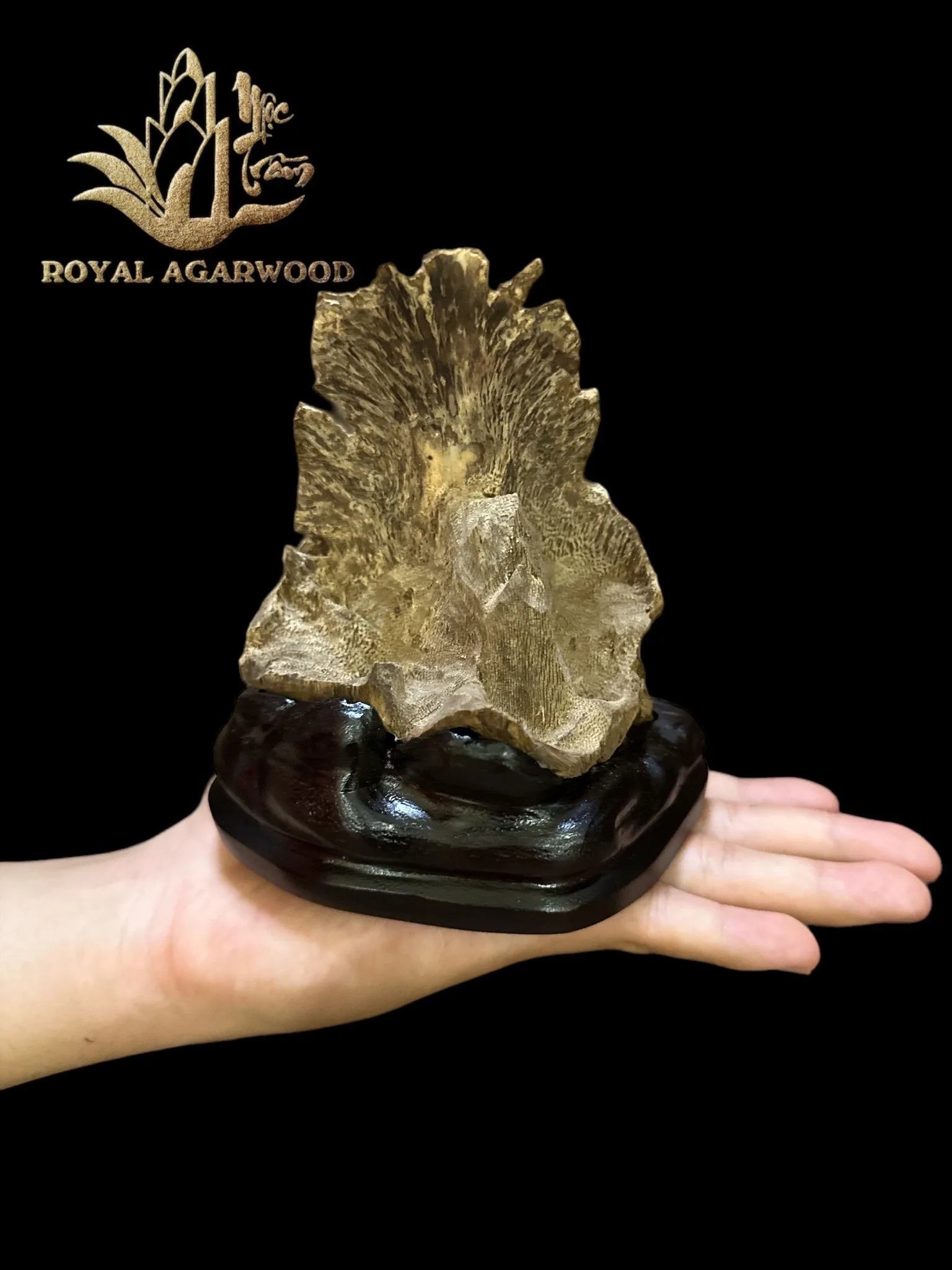 Hết hàng_Trầm hương cảnh tự nhiên - Trầm cảnh dáng Rẻ Quạt để trưng bày ô tô