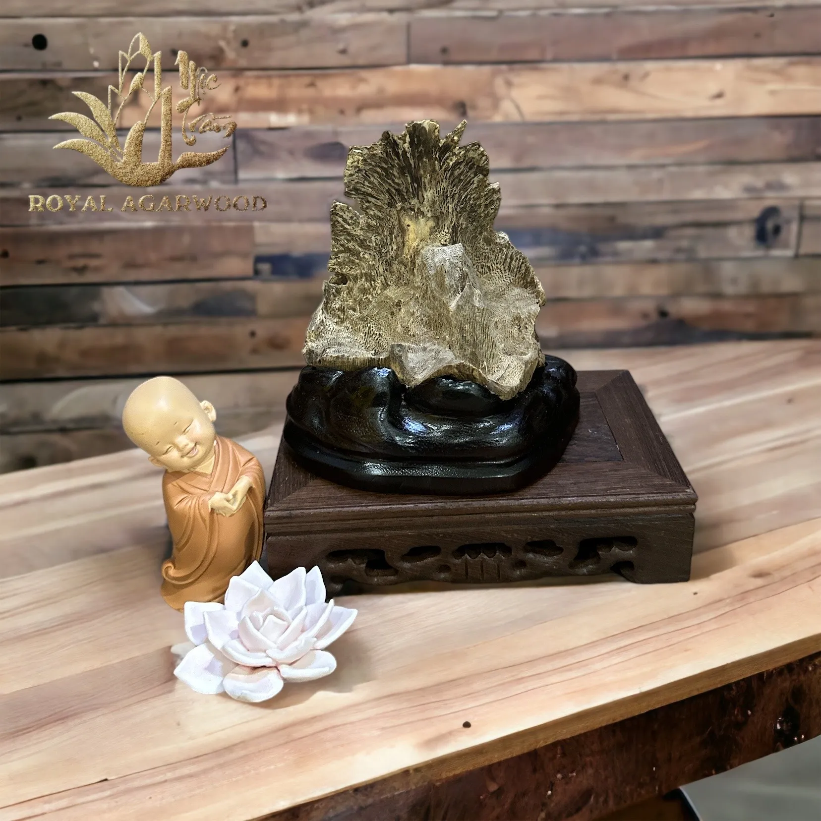 Hết hàng_Trầm hương cảnh tự nhiên - Trầm cảnh dáng Rẻ Quạt để trưng bày ô tô